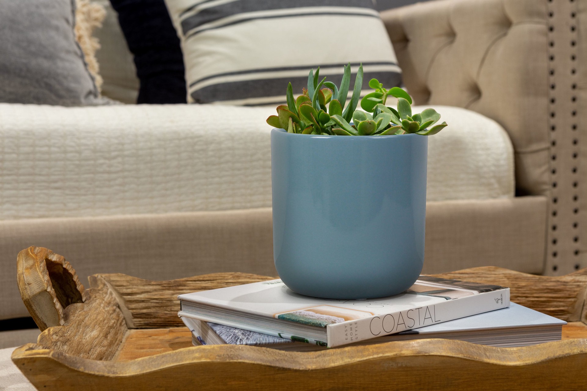 slide 6 of 6, allen + roth Round 5.12-in W x 5.12-in L Blue Ceramic Indoor Planter, 1 ct