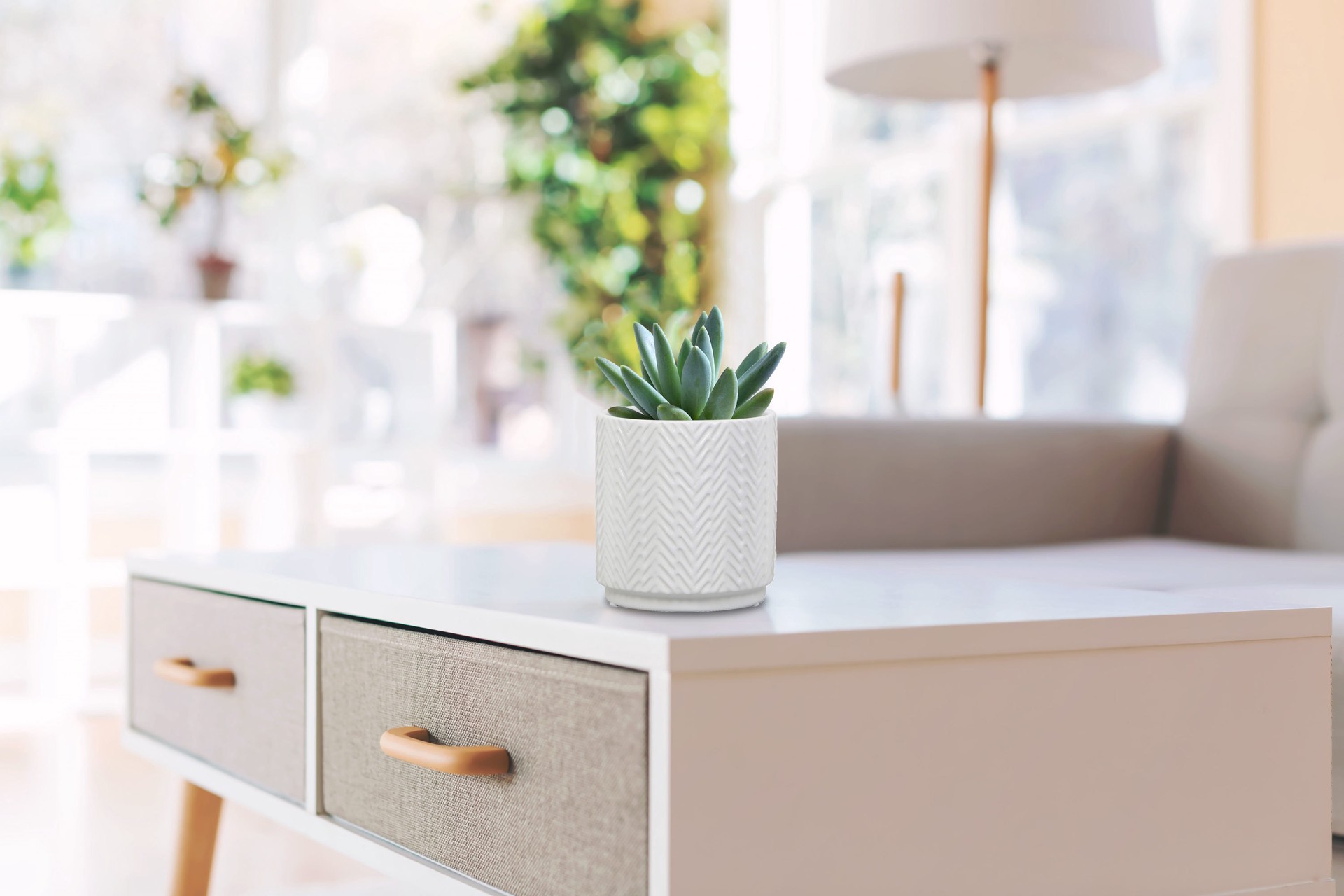 slide 6 of 6, allen + roth Round 5.0-in W x 5.0-in L White Ceramic Indoor Planter, 1 ct