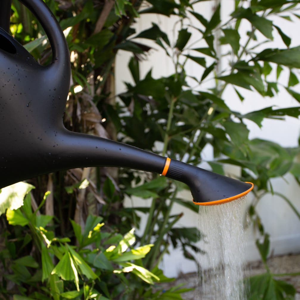 slide 4 of 6, Bloem 2.6-Gallon Black Plastic Classic Watering Can, 1 ct