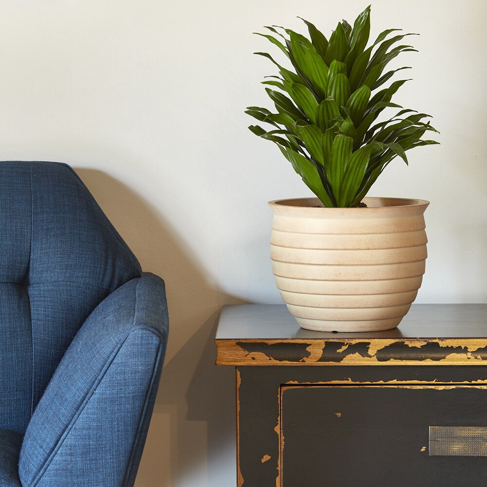 slide 4 of 5, allen + roth Round 9.5-in W x 9.5-in L Off-white Mixed/Composite Indoor/Outdoor Planter, 1 ct