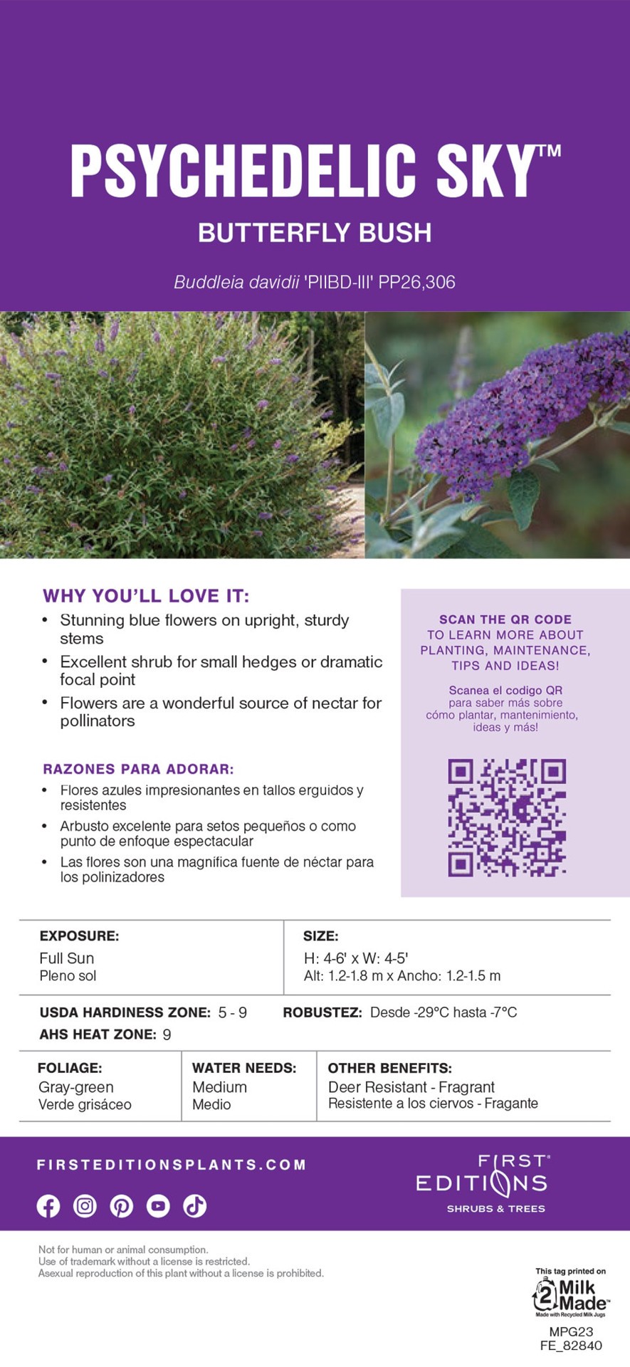slide 6 of 6, Lowe's Psychedelic Sky Buddleia Flowering Shrub in 2 -Gallon Pot 1 -Pack with Purple Blooms, 1 ct