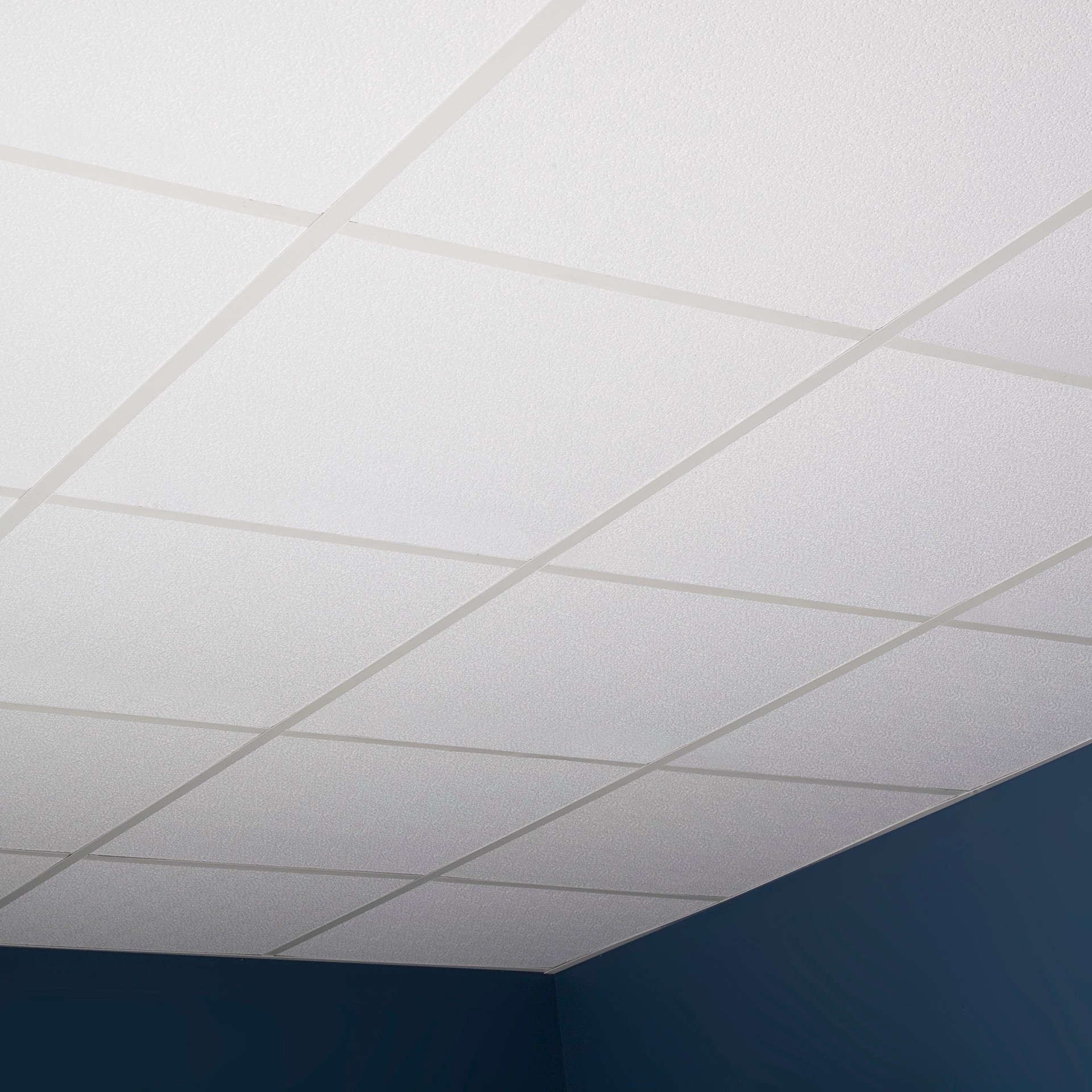 slide 5 of 6, Genesis 2-ft x 2-ft Stucco Pro White PVC Drop Ceiling Tile ( 4-sq ft / Case ), 1 ct