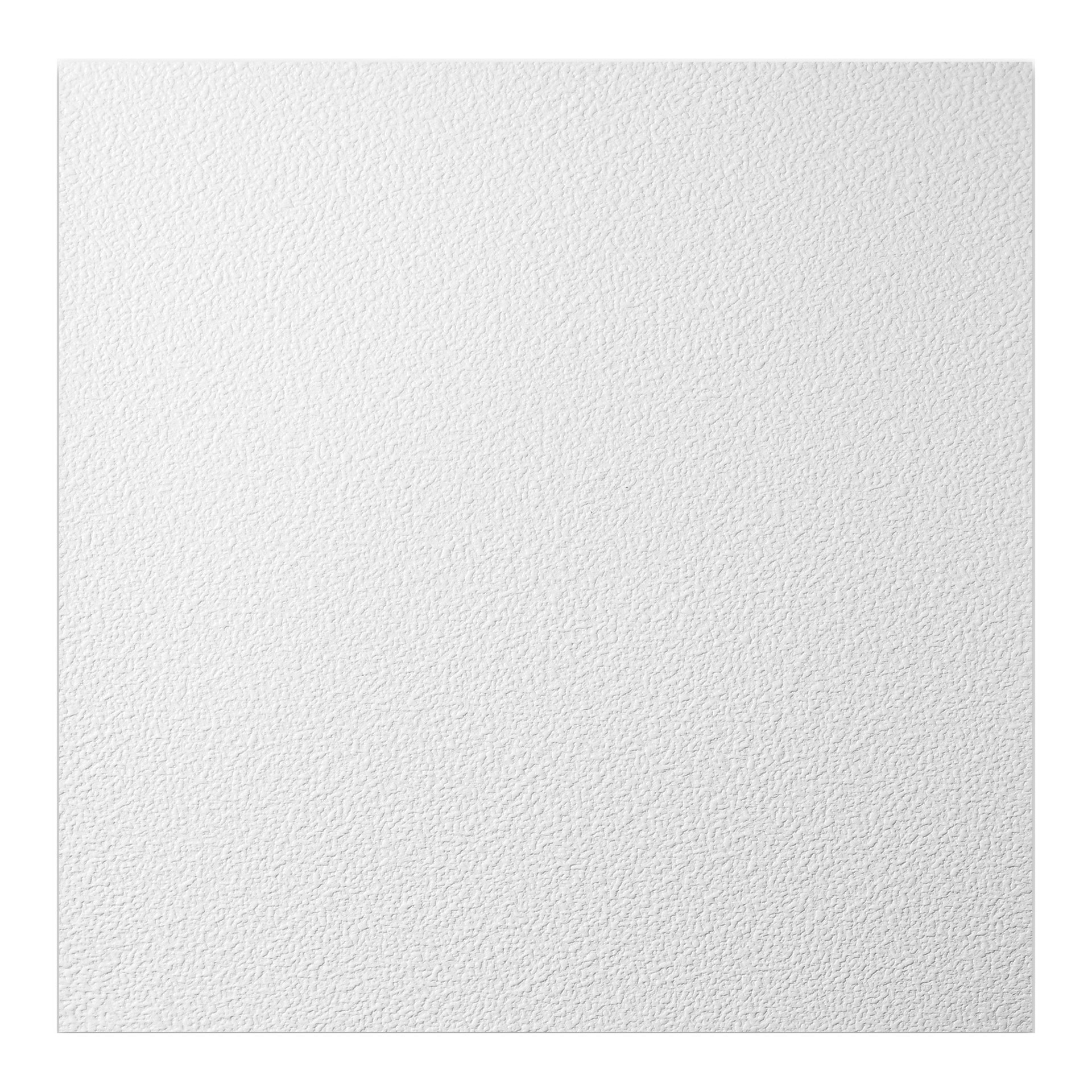 slide 1 of 6, Genesis 2-ft x 2-ft Stucco Pro White PVC Drop Ceiling Tile ( 4-sq ft / Case ), 1 ct