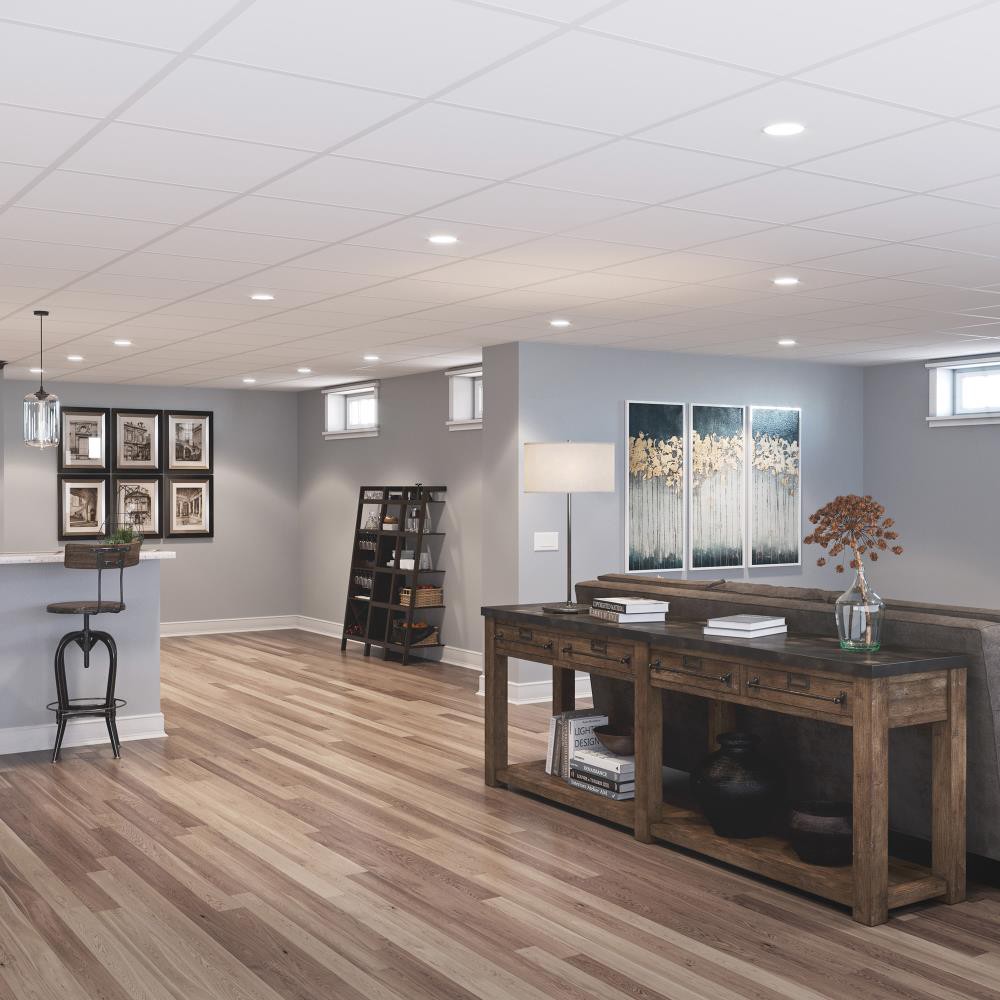 slide 2 of 6, Genesis 2-ft x 2-ft Smooth Pro White PVC Drop Ceiling Tile ( 4-sq ft / Case ), 1 ct