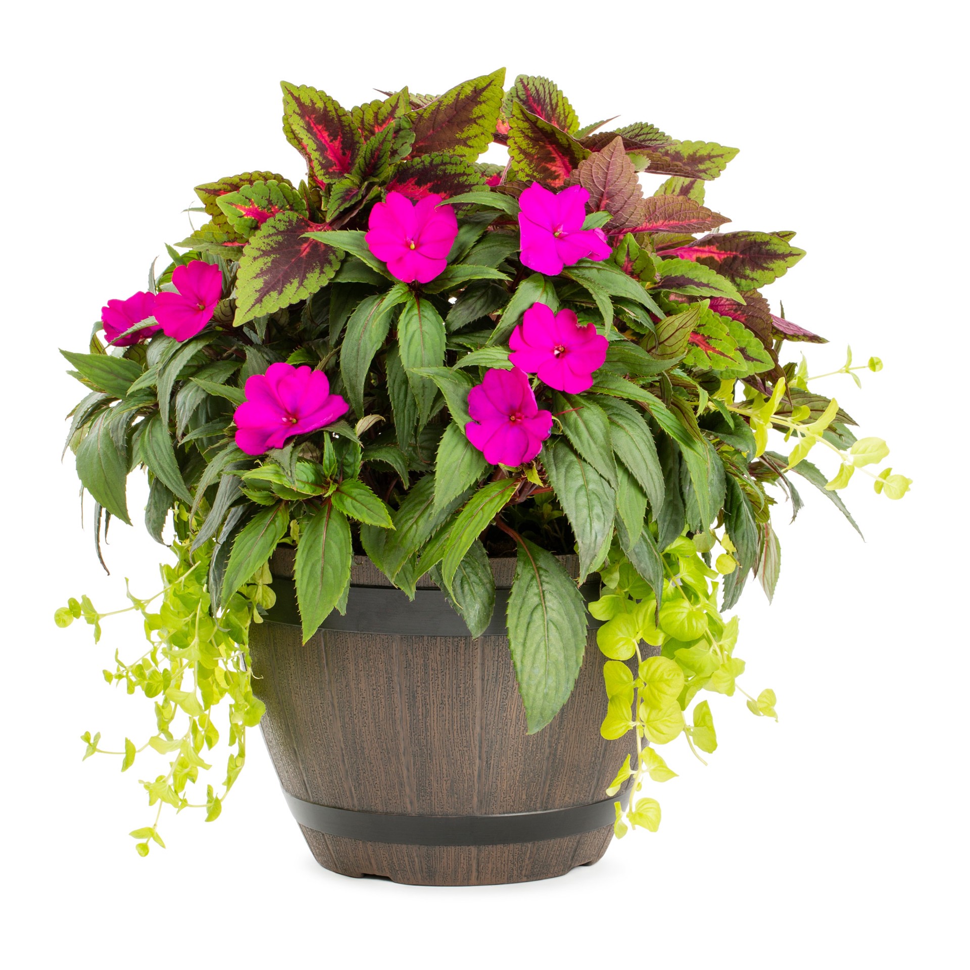slide 3 of 3, Lowe's Multicolor Mixed Annuals Combo 505 in 2.5-Gallons Planter, 1 ct
