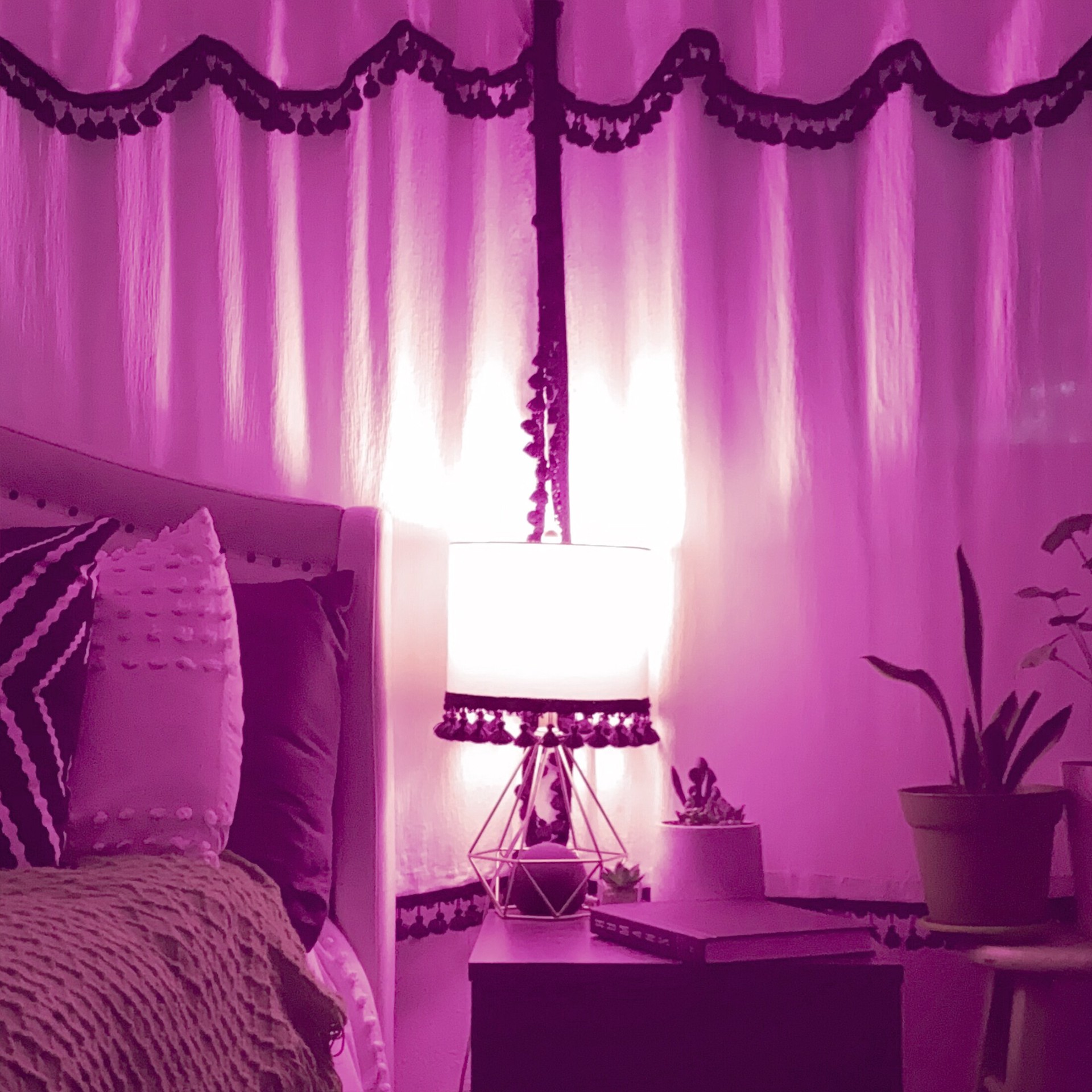 slide 5 of 6, Feit Electric A19 Pink Medium base (E-26) LED Decorative Light Bulb, 1 ct