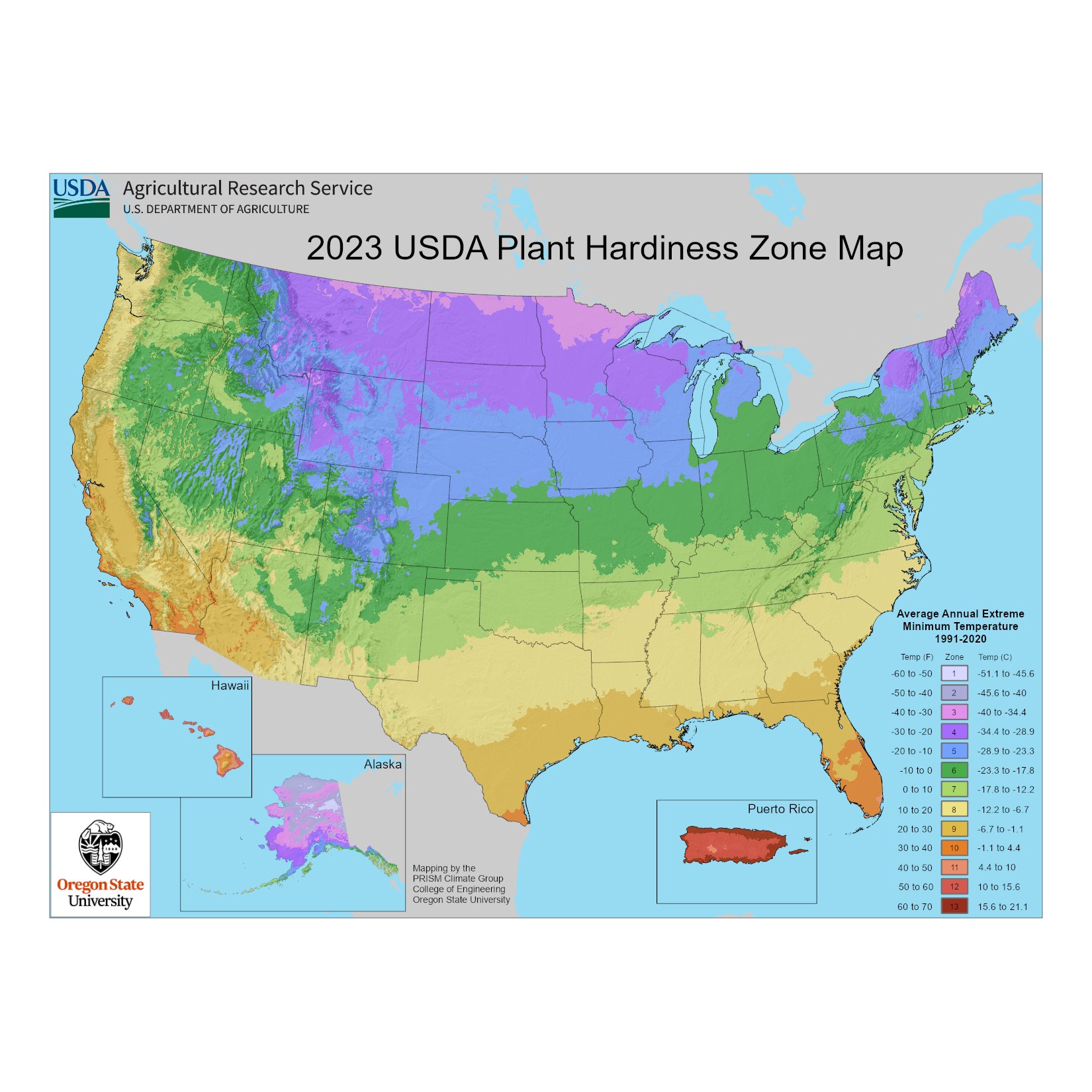 slide 4 of 4, Monrovia Little Giant Dwarf Arborvitae Foundation/Hedge Shrub in 2.6 -Quart Pot 1 -Pack, 1 ct