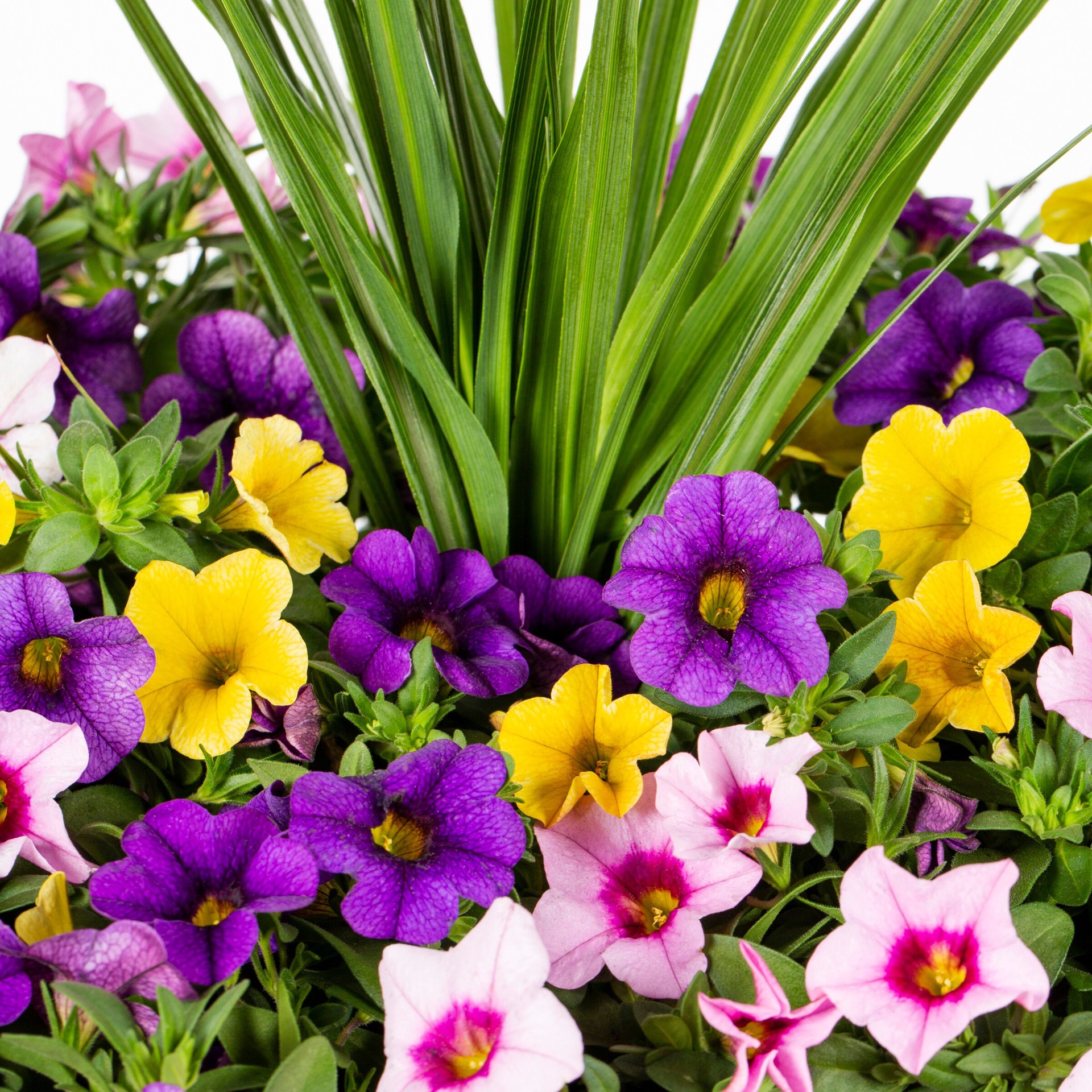 slide 2 of 2, Ready Refill Mixmasters Playdate Combo in 1.5-Gallon, 1 ct