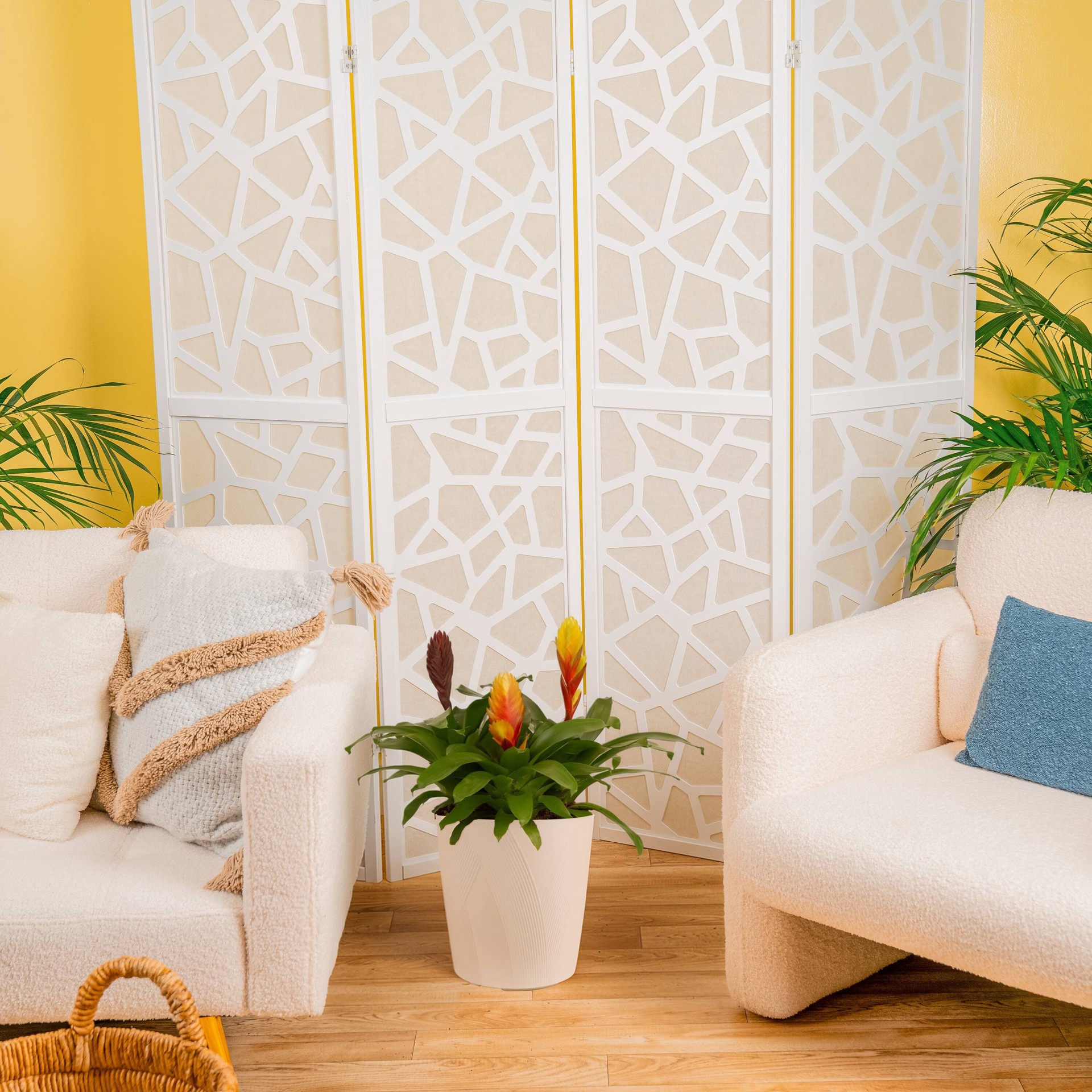 slide 4 of 6, Costa Farms Mixed Specialty Asstd. Bromeliad House plant in 1.5 Gallon(s) Pot 2 -Pack, 1 ct