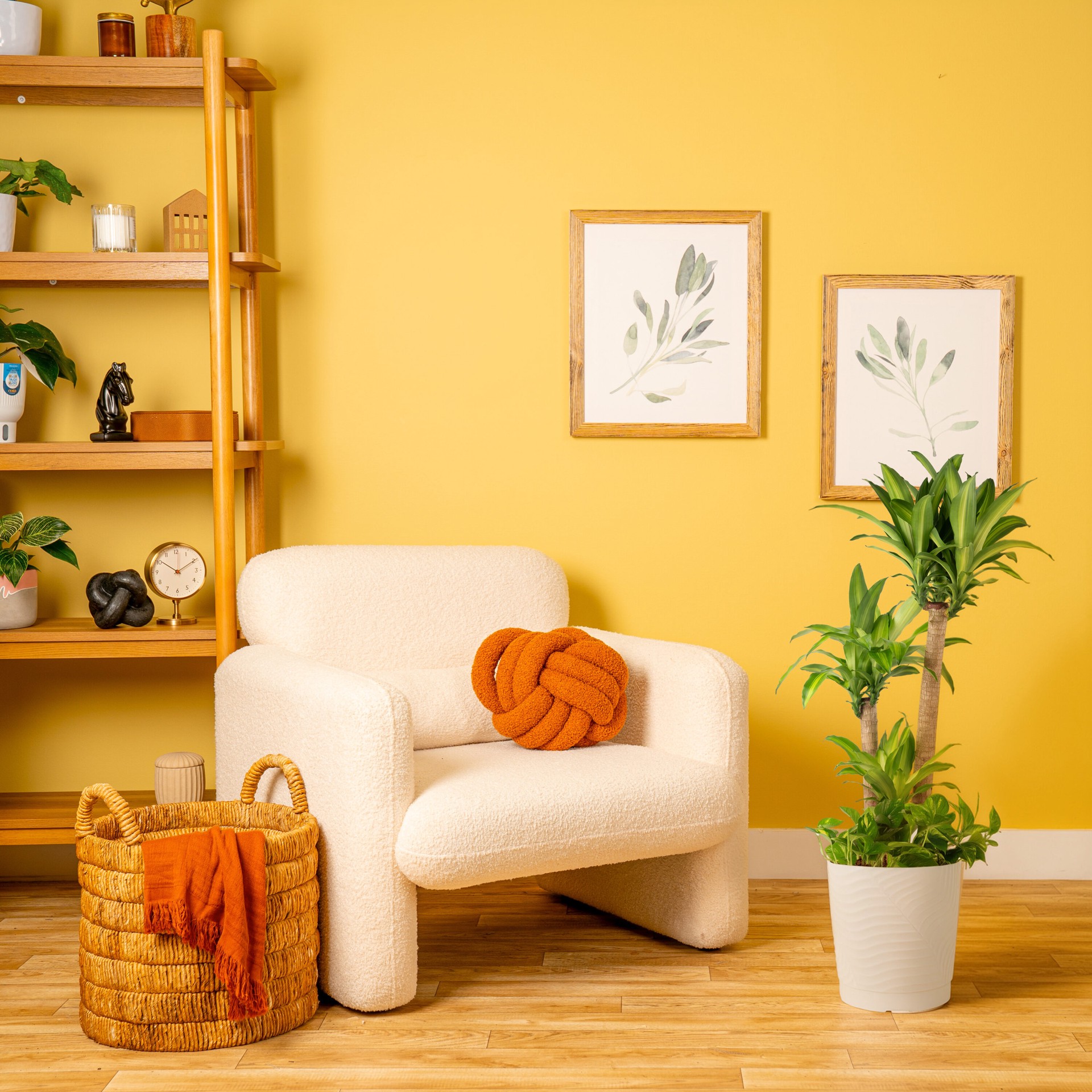 slide 3 of 6, Lowe's Mixed Foliage House plant in 2 Gallon(s) Planter 1 -Pack, 1 ct