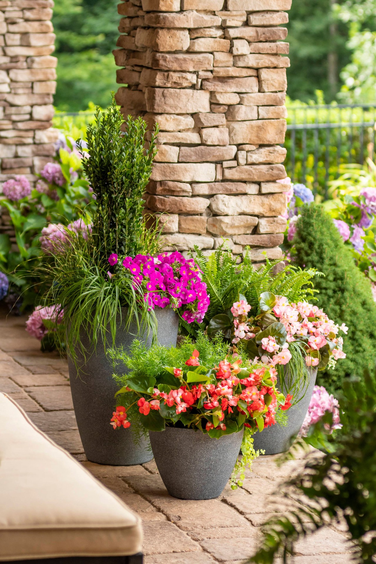 slide 3 of 3, Lowe's Sky Pencil Holly Shrub in 2.5 -Quart, 1 ct