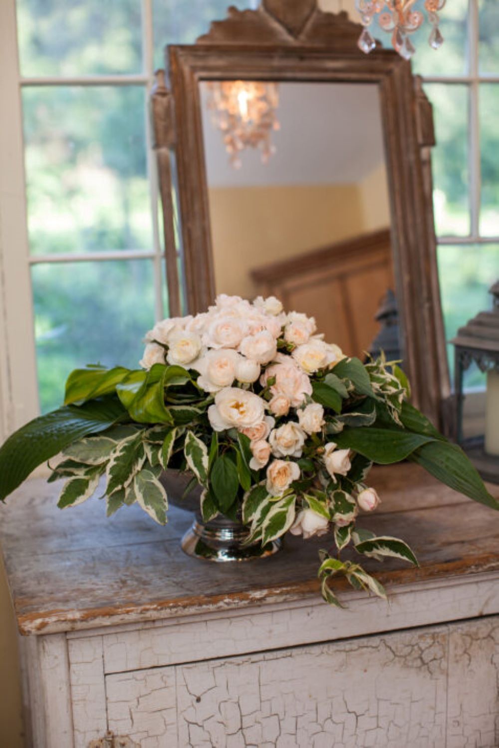 slide 6 of 6, Lowe's White Champagne Wishes Rose 2 -Gallon 1 -Pack in Pot, 1 ct