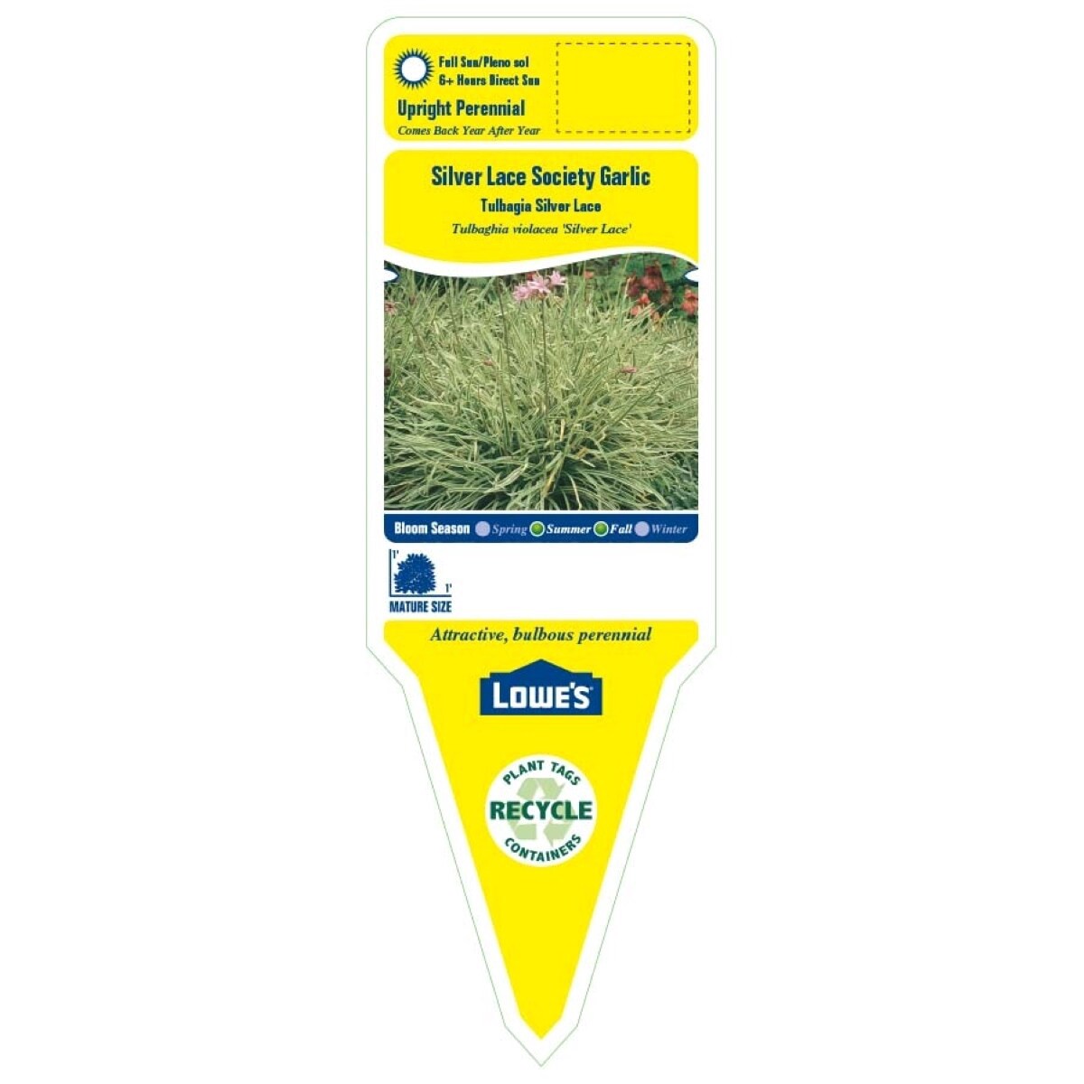 slide 3 of 4, Lowe's Pink Wild Garlic Plant in 2.5-Quart Pot, 1 ct