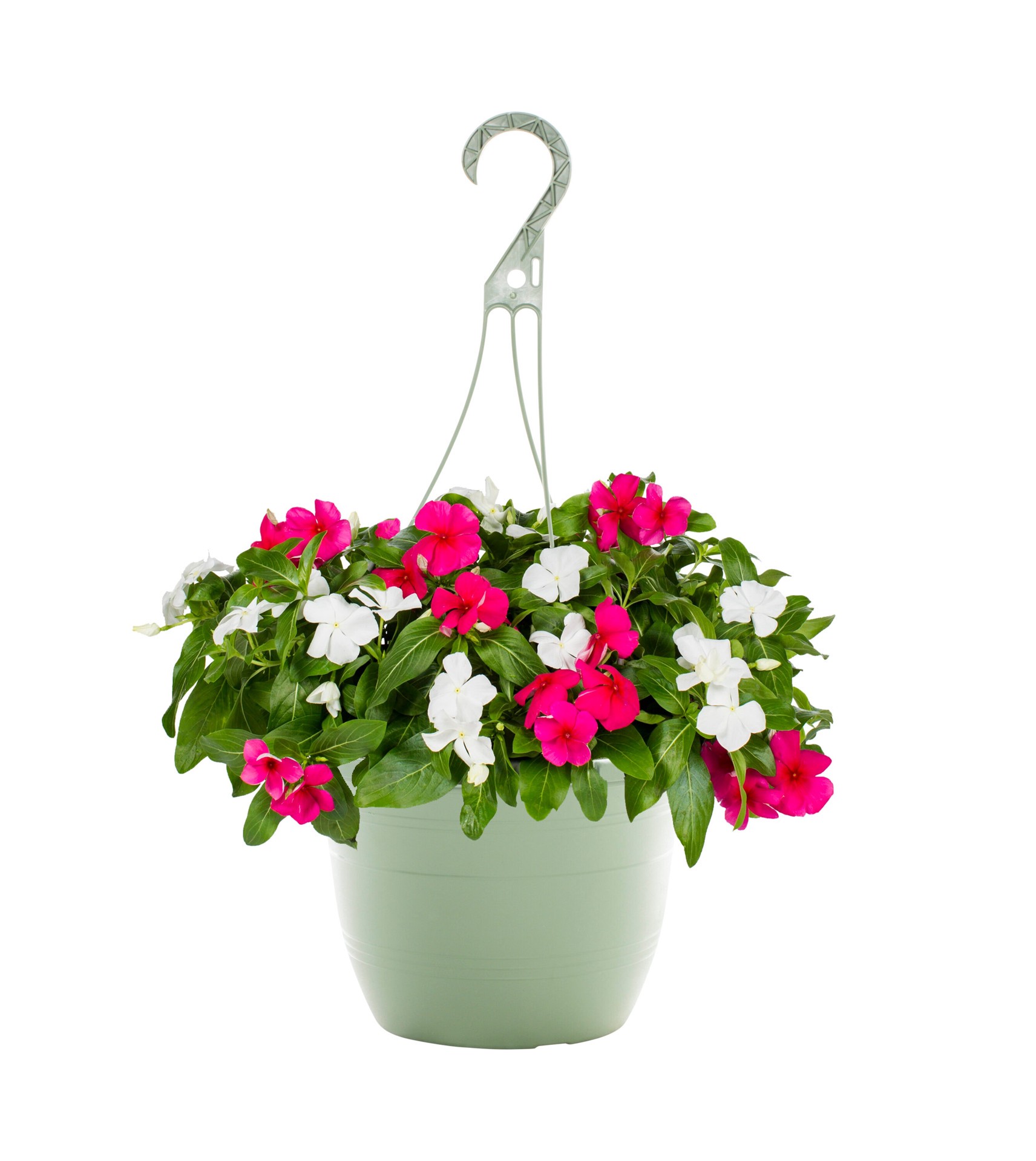 slide 1 of 2, Lowe's Multicolor Vinca in 1.5 Gallon(s) Hanging basket 1 -Pack, 1 ct
