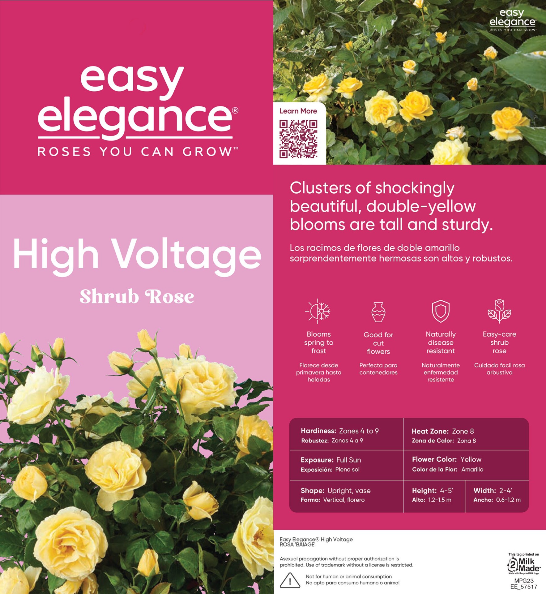 slide 5 of 6, Lowe's Yellow High Voltage Rose 2 -Gallon 1 -Pack in Pot, 1 ct