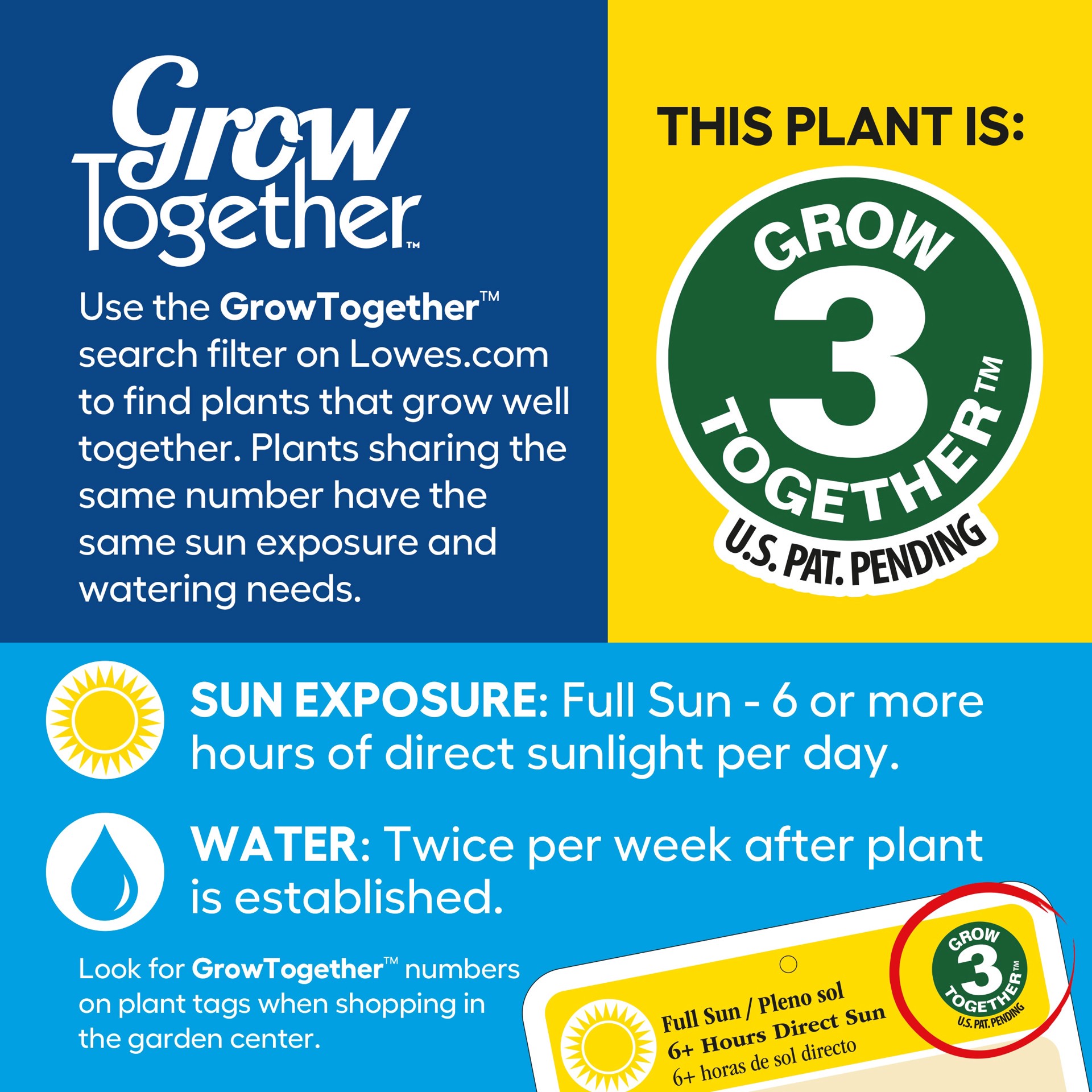 slide 4 of 5, Lowe's Multicolor Garden Phlox Plant in 2.5 -Quart Pot 1 -Pack, 1 ct