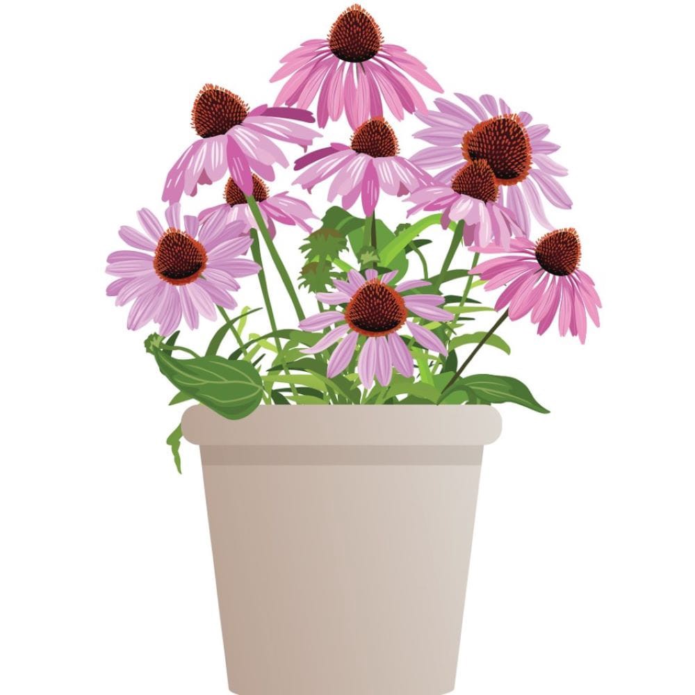 slide 3 of 4, Lowe's Multicolor 2.5 -Quart Pot 1 -Pack, 1 ct