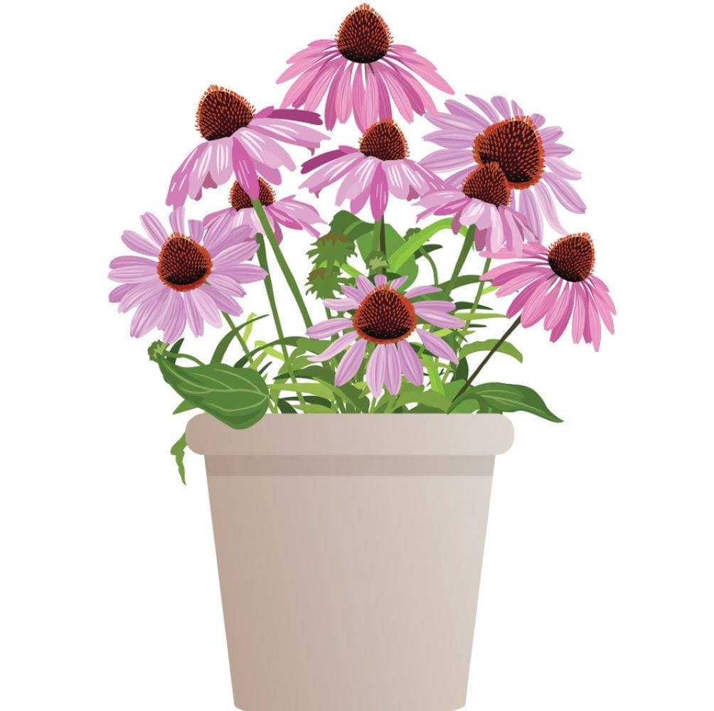 slide 4 of 4, Lowe's Multicolor 2.5 -Quart Pot 1 -Pack, 1 ct