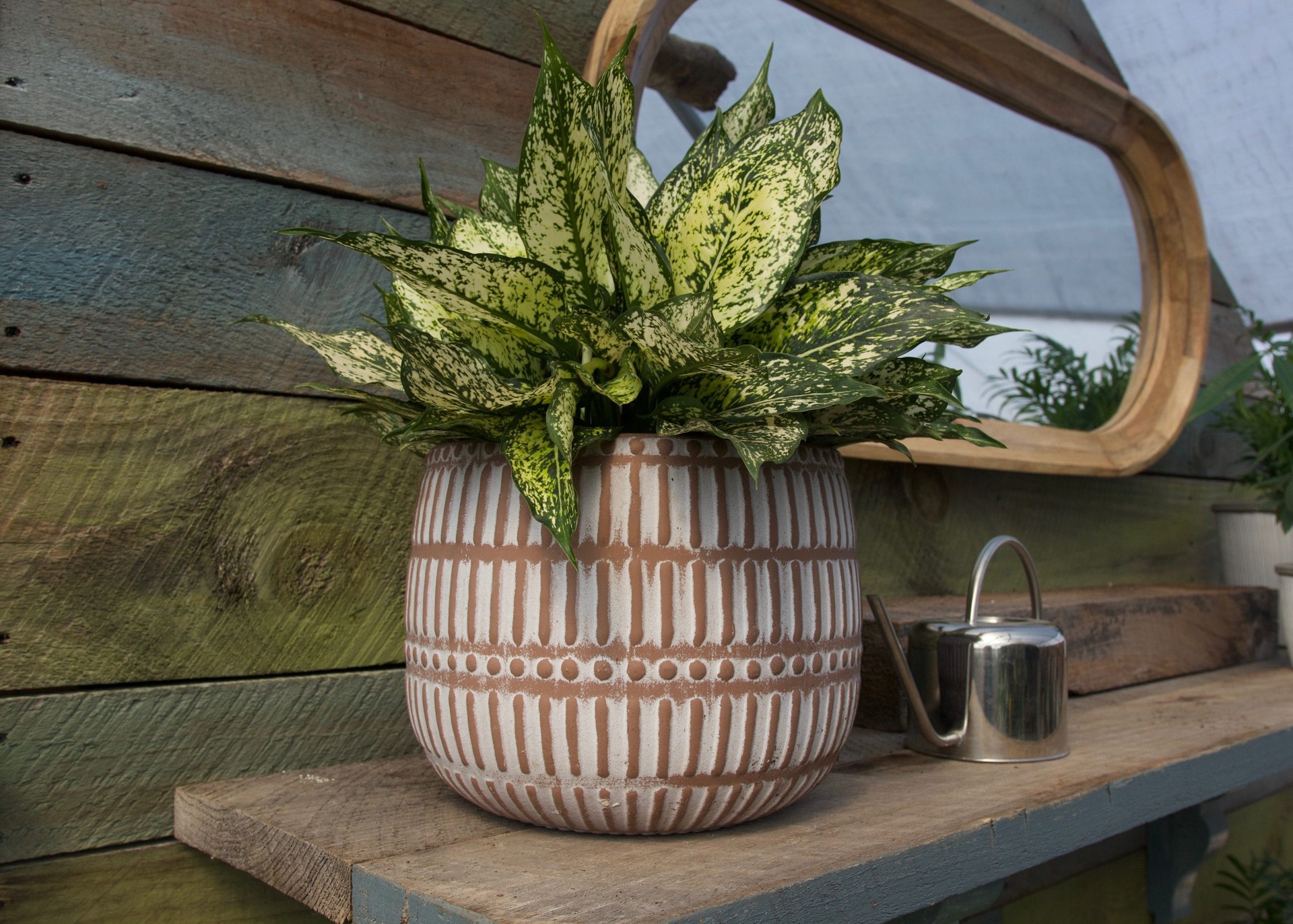 slide 4 of 5, allen + roth Round 8.66-in W x 8.66-in L Brown Ceramic Indoor Planter, 1 ct