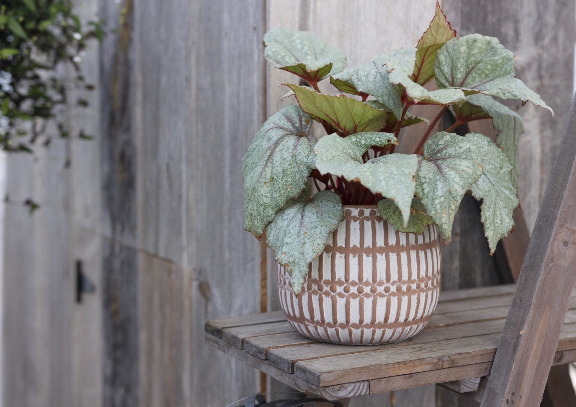 slide 4 of 5, allen + roth Round 5.9-in W x 5.9-in L Brown Ceramic Indoor Planter, 1 ct