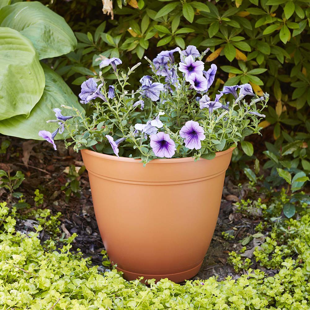 slide 2 of 4, Round 16.0-in W x 14.0-in H x Orange Plastic Indoor/Outdoor Planter, 1 ct