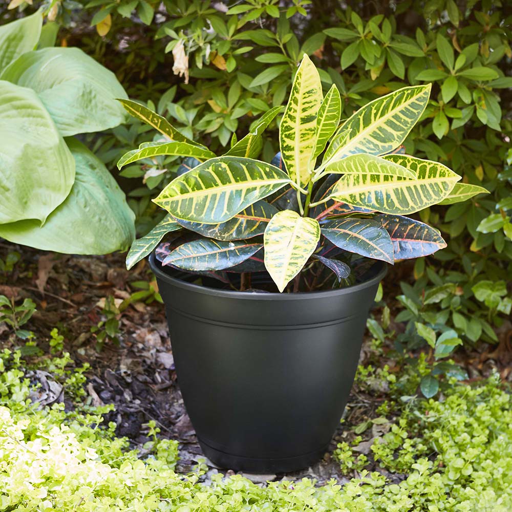 slide 2 of 6, Style Selections Round 8.0-in W x 7-in H x 8-in D Black Plastic Indoor/Outdoor Planter, 1 ct