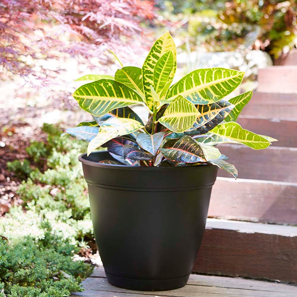 slide 3 of 6, Style Selections Round 8.0-in W x 7-in H x 8-in D Black Plastic Indoor/Outdoor Planter, 1 ct