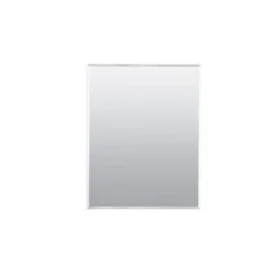Project Source 16-in x 20-in Surface/Recessed Mount Frameless Mirrored Rectangle Medicine Cabinet