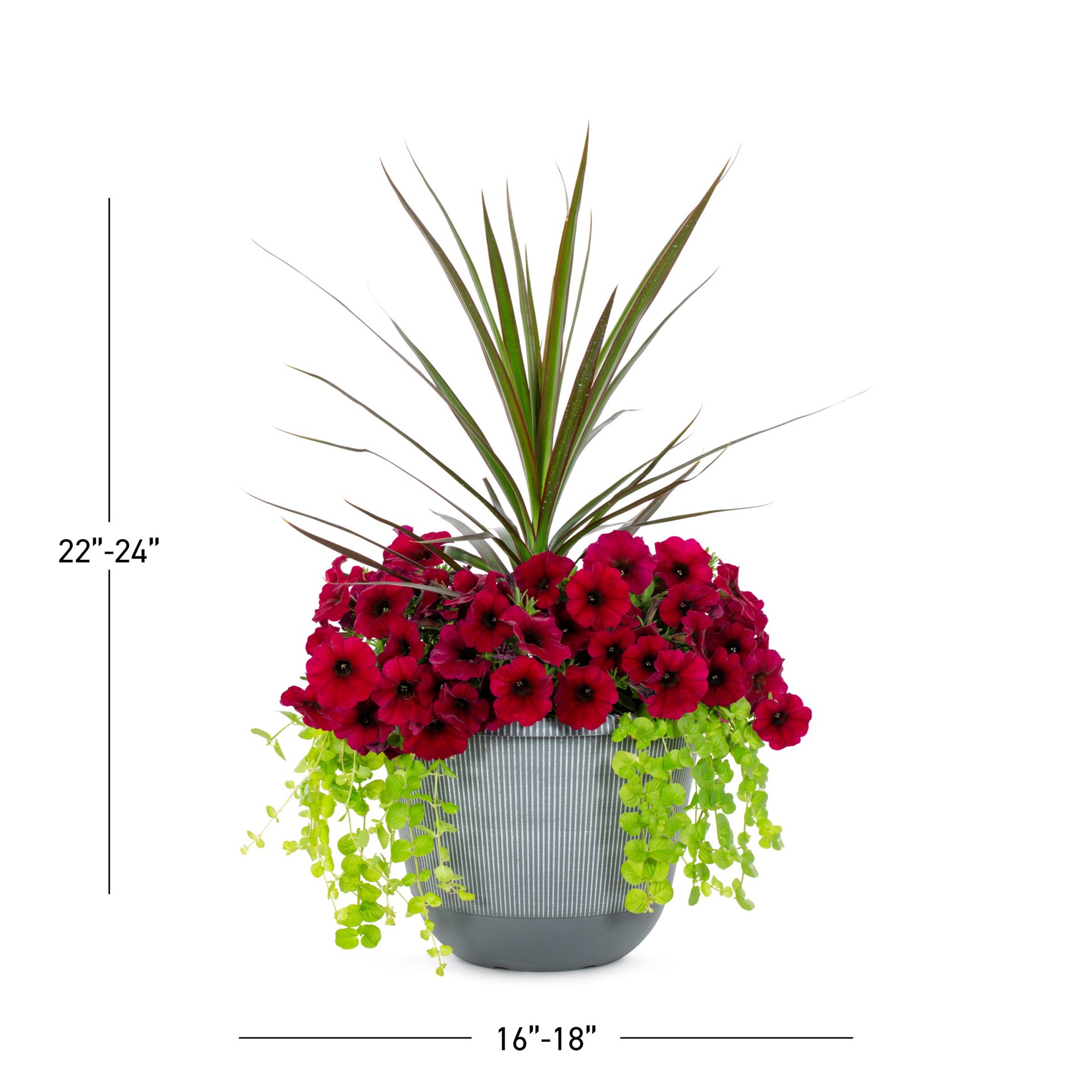 slide 3 of 3, Lowe's Multicolor Mixed Annuals Combo in 2.5 Gallon(s) Planter 1 -Pack, 1 ct