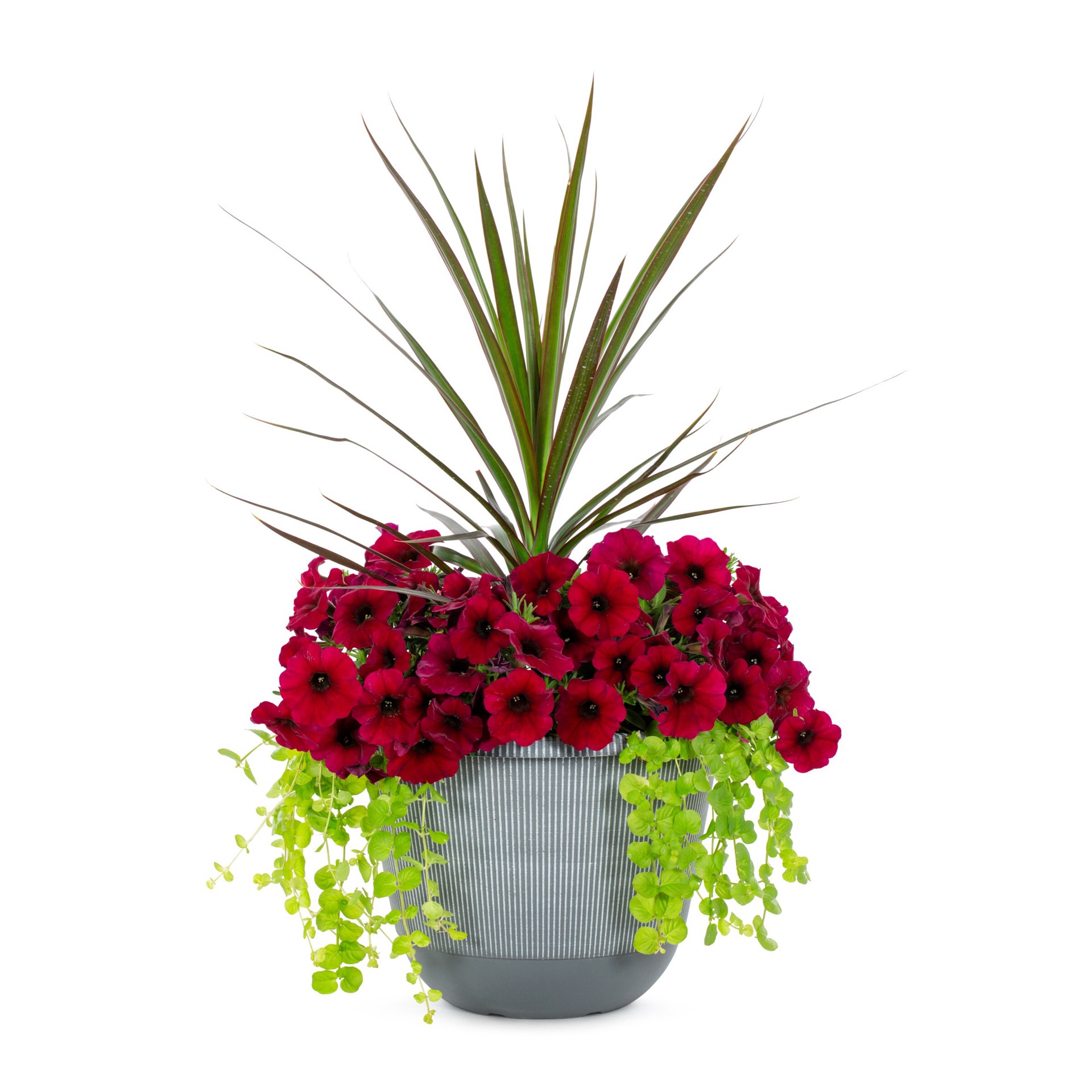 slide 1 of 3, Lowe's Multicolor Mixed Annuals Combo in 2.5 Gallon(s) Planter 1 -Pack, 1 ct