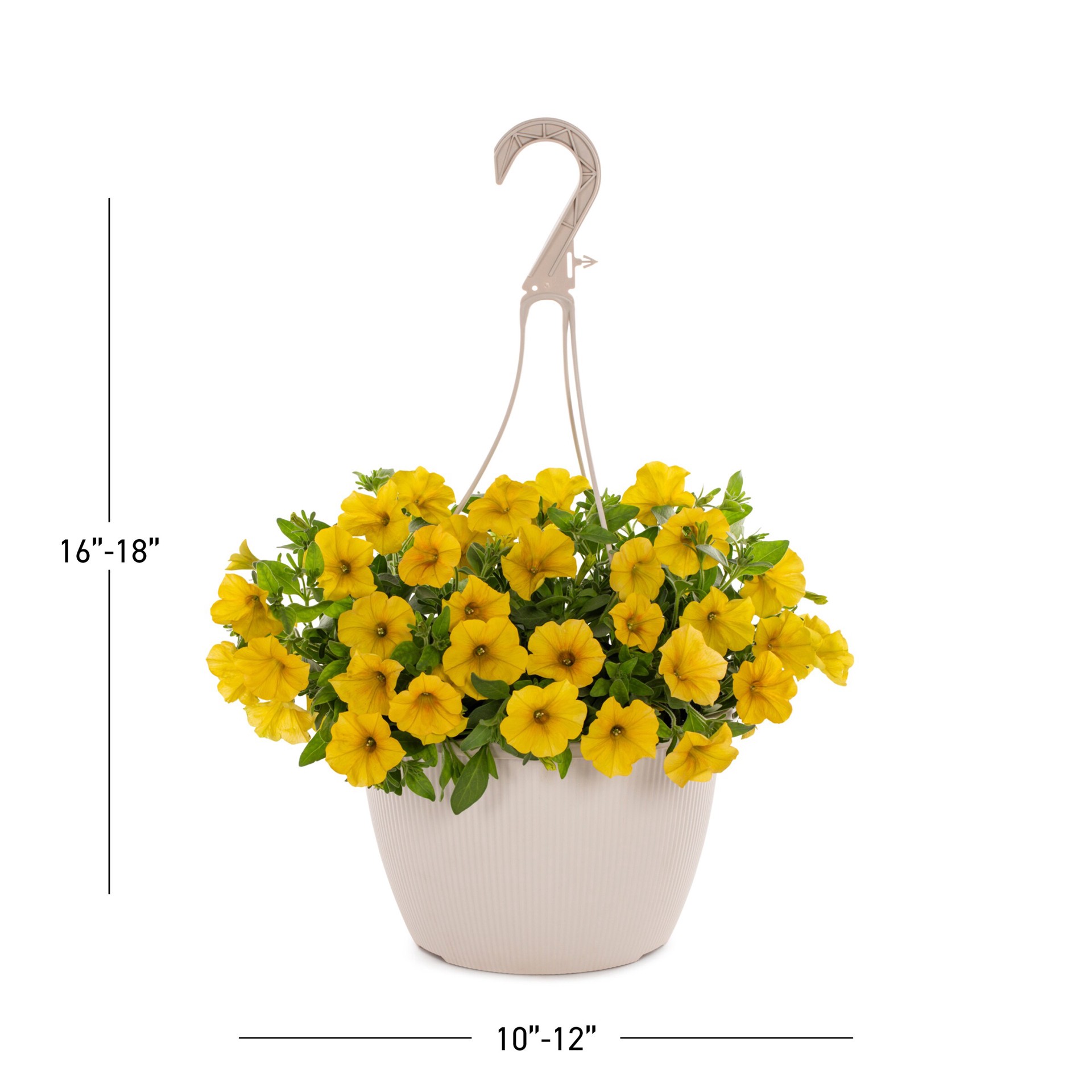 slide 3 of 5, Lowe's Multicolor SuperCal Petchoa or Calibrachoa in 1.50 Gallon(s) Hanging basket 1 -Pack, 1 ct