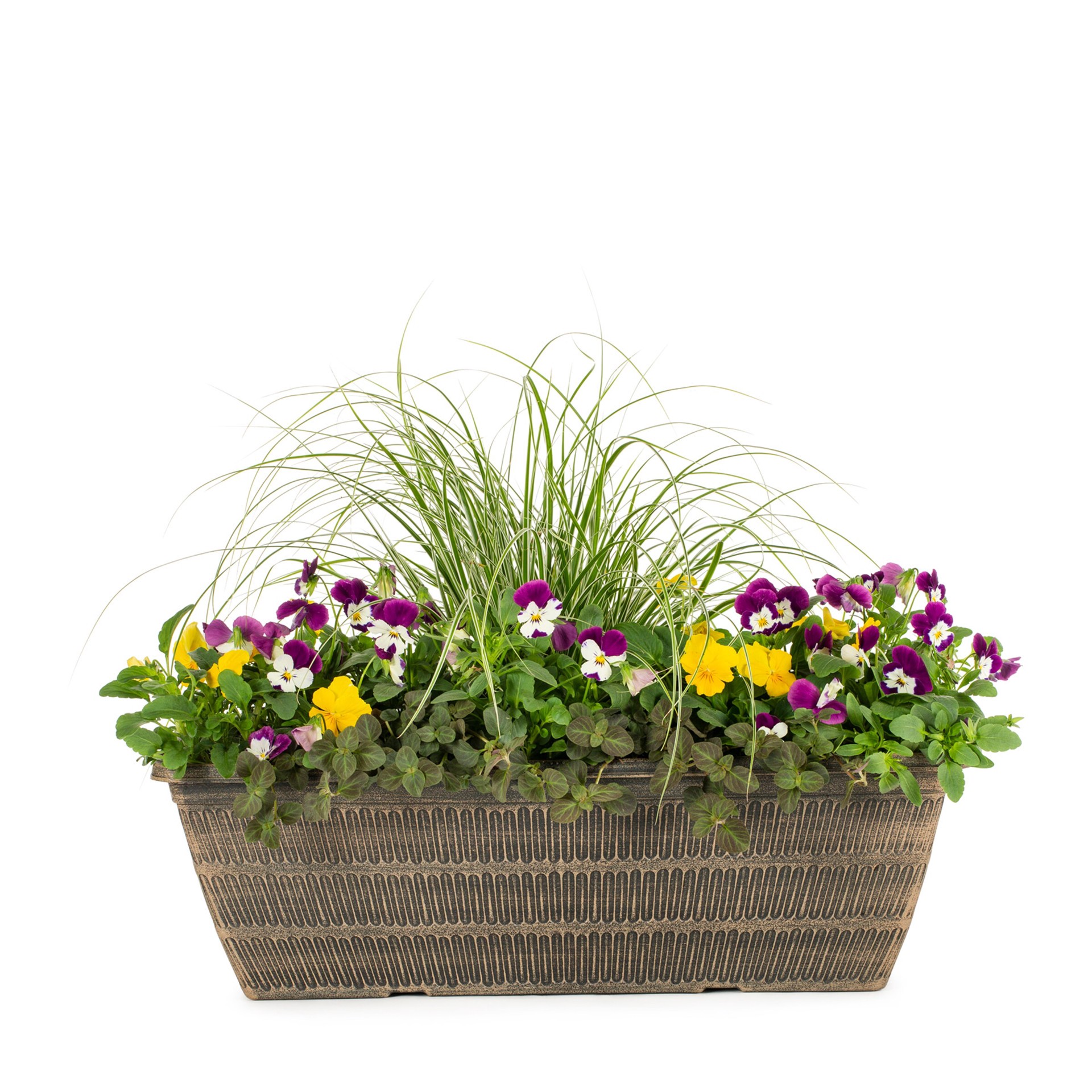 slide 1 of 2, Lowe's Multicolor Mixed Annuals Combo in 2.5 Gallon(s) Planter 1 -Pack, 1 ct