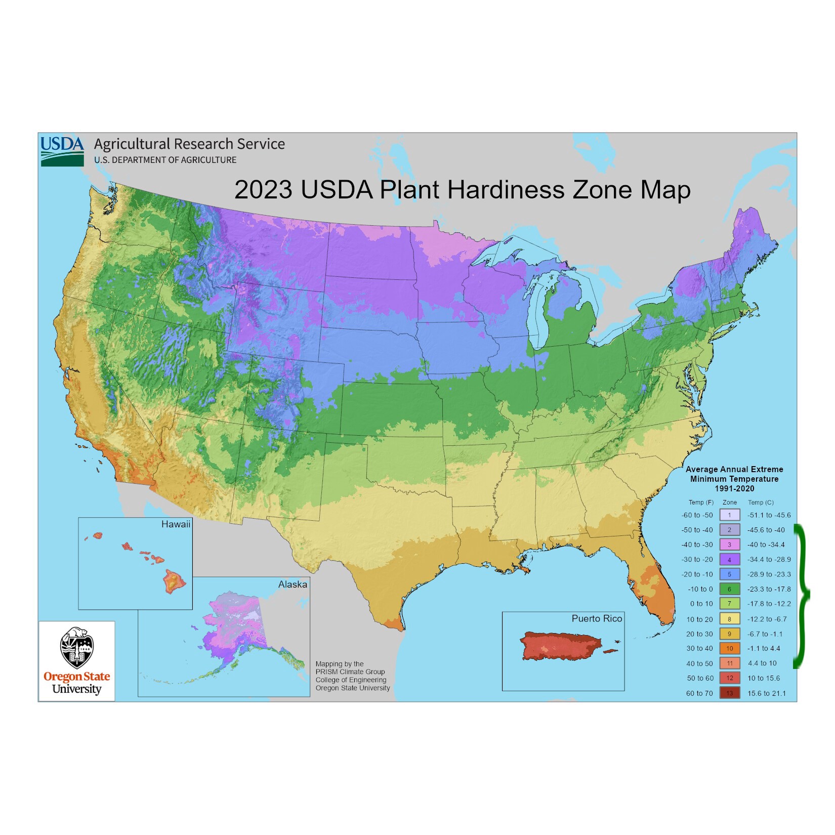 slide 4 of 4, Lowe's Multicolor Marigold Plant in 1.5 -Gallon Pot 1 -Pack, 1 ct