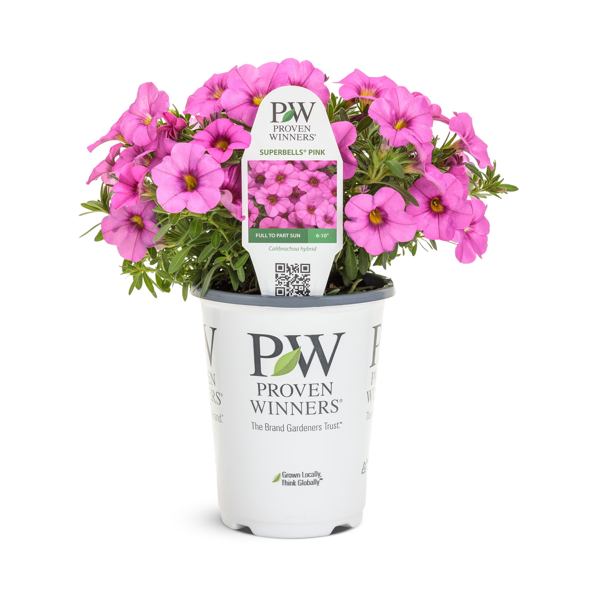 slide 1 of 5, Lowe's Multicolor Superbells Blue Moon Punch Calibrachoa in 1.56 Pint Pot 1 -Pack, 1 ct