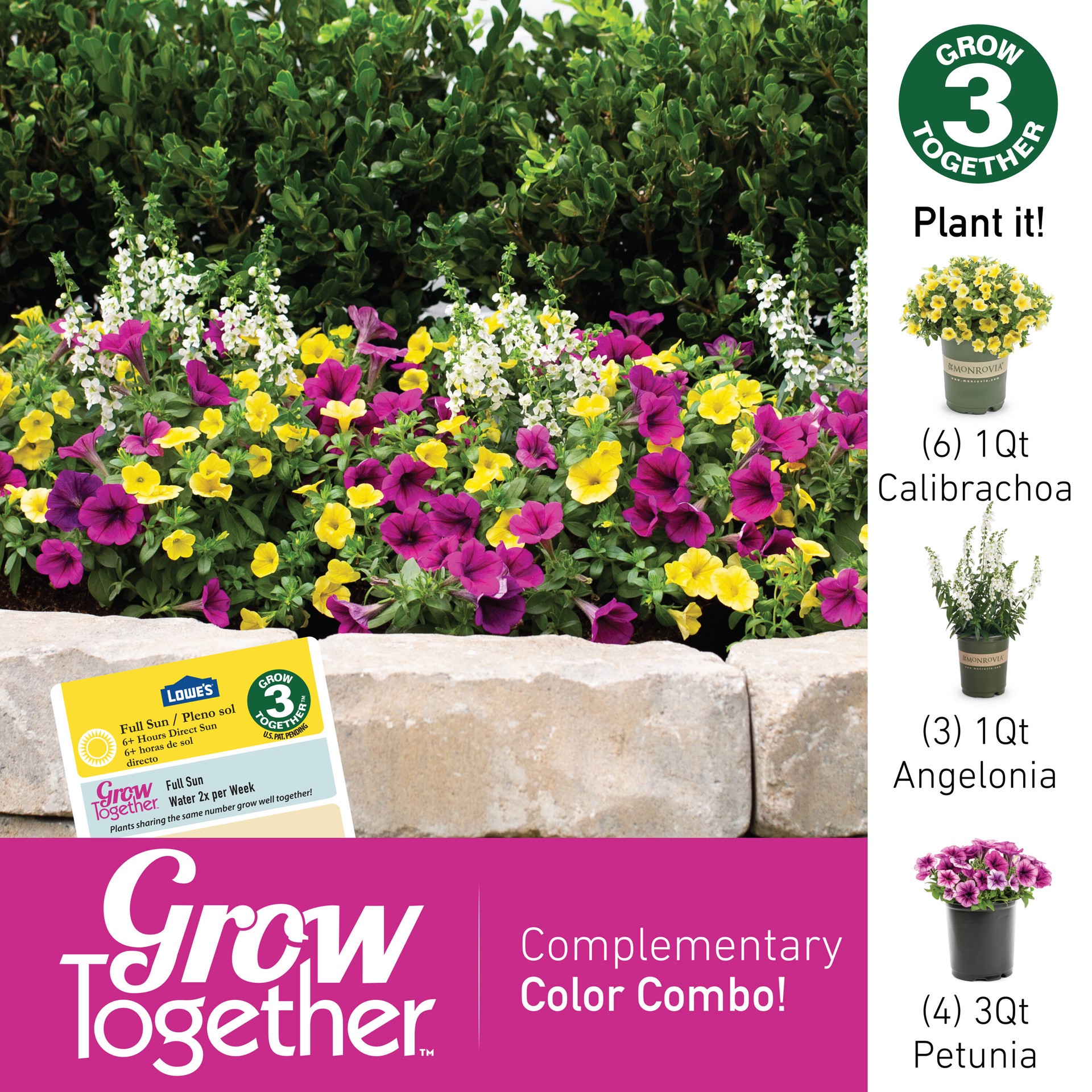 slide 5 of 5, Lowe's Multicolor Superbells Blue Moon Punch Calibrachoa in 1.56 Pint Pot 1 -Pack, 1 ct