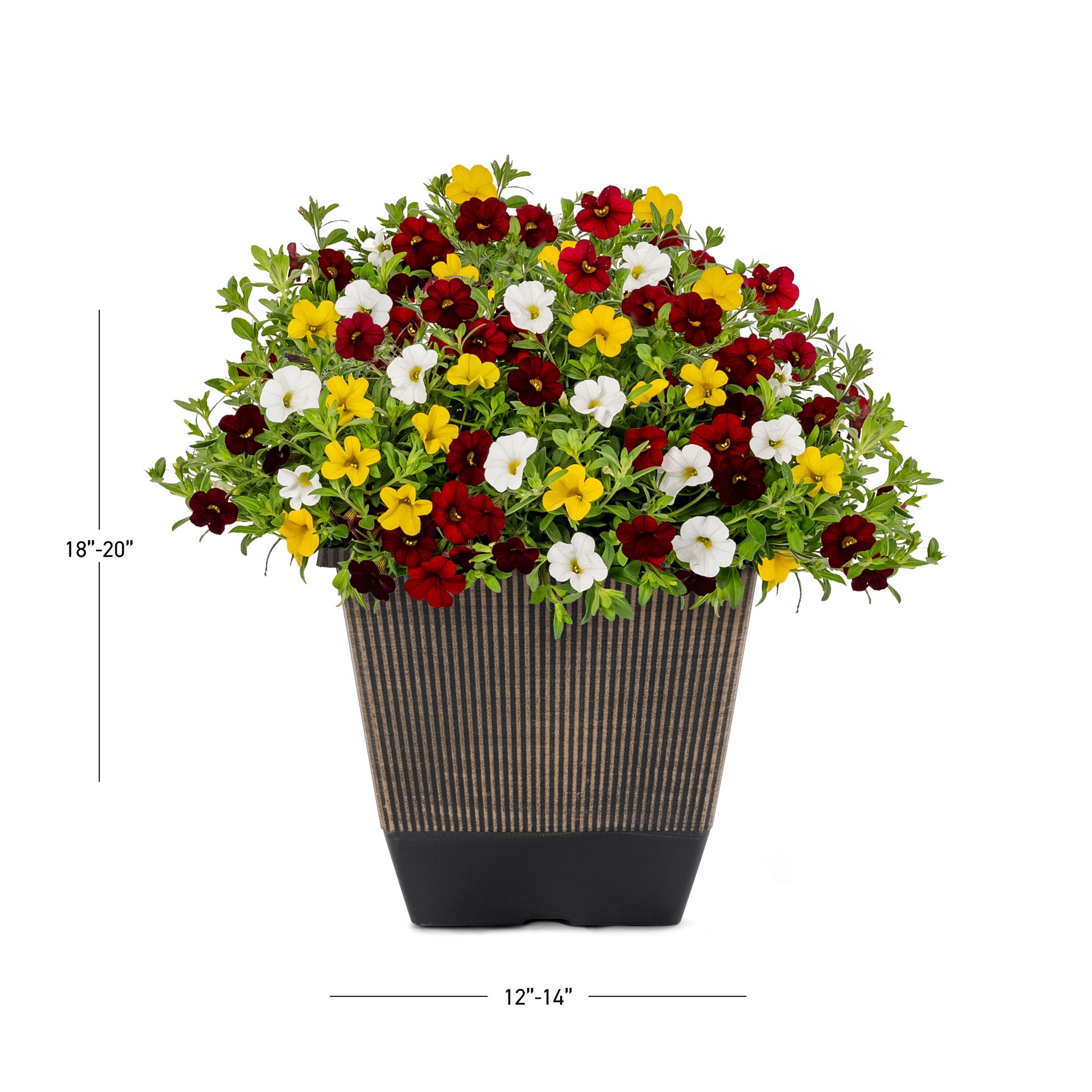 slide 3 of 3, Lowe's Multicolor Calibrachoa in 1.5 Gallon(s) Planter 1 -Pack, 1 ct