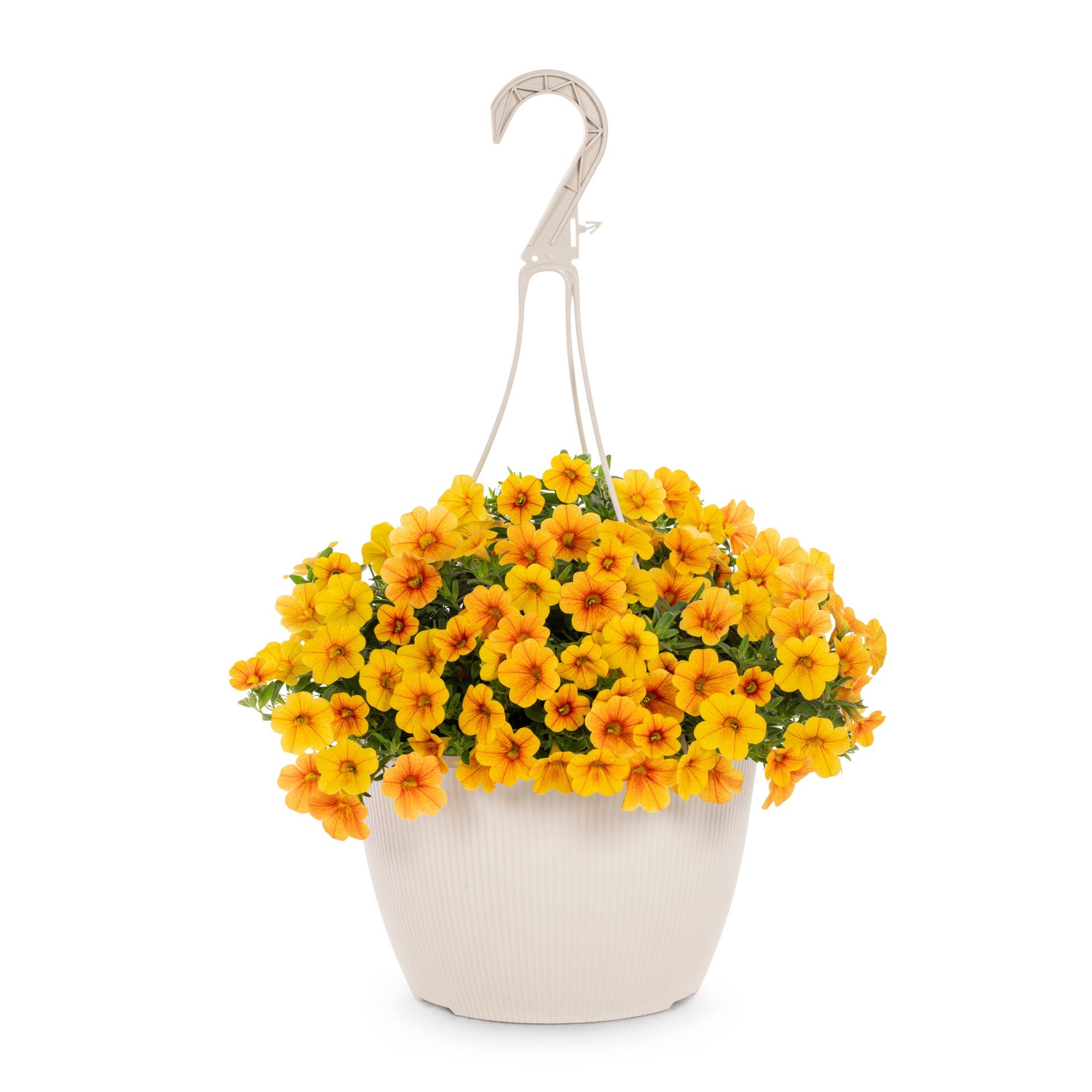 slide 1 of 6, Lowe's Multicolor Calibrachoa in 1.5 Gallon(s) Hanging basket 1 -Pack, 1 ct
