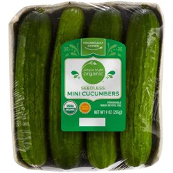 Fresh Org Cucmber Mini