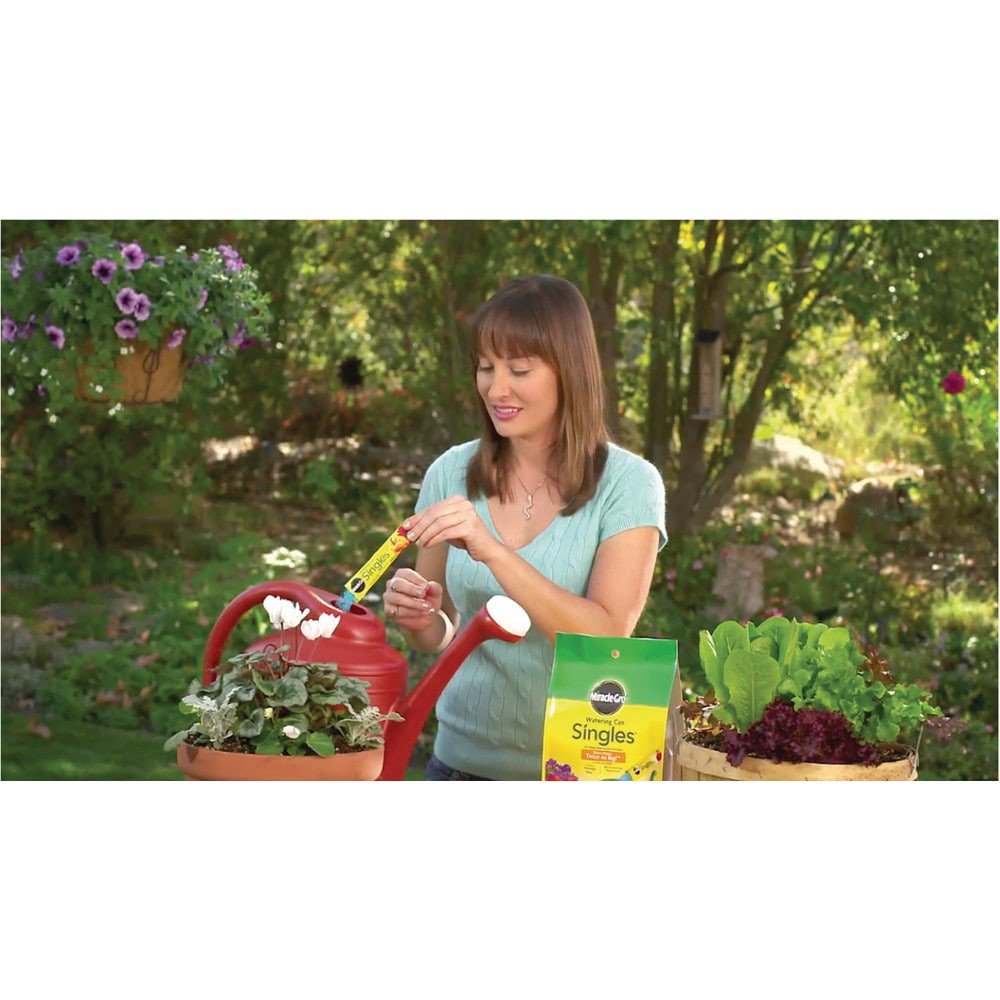 slide 2 of 6, Miracle-Gro Watering Can Singles 24-Count 24-8-16 Water-soluble All-purpose Food, 1 ct