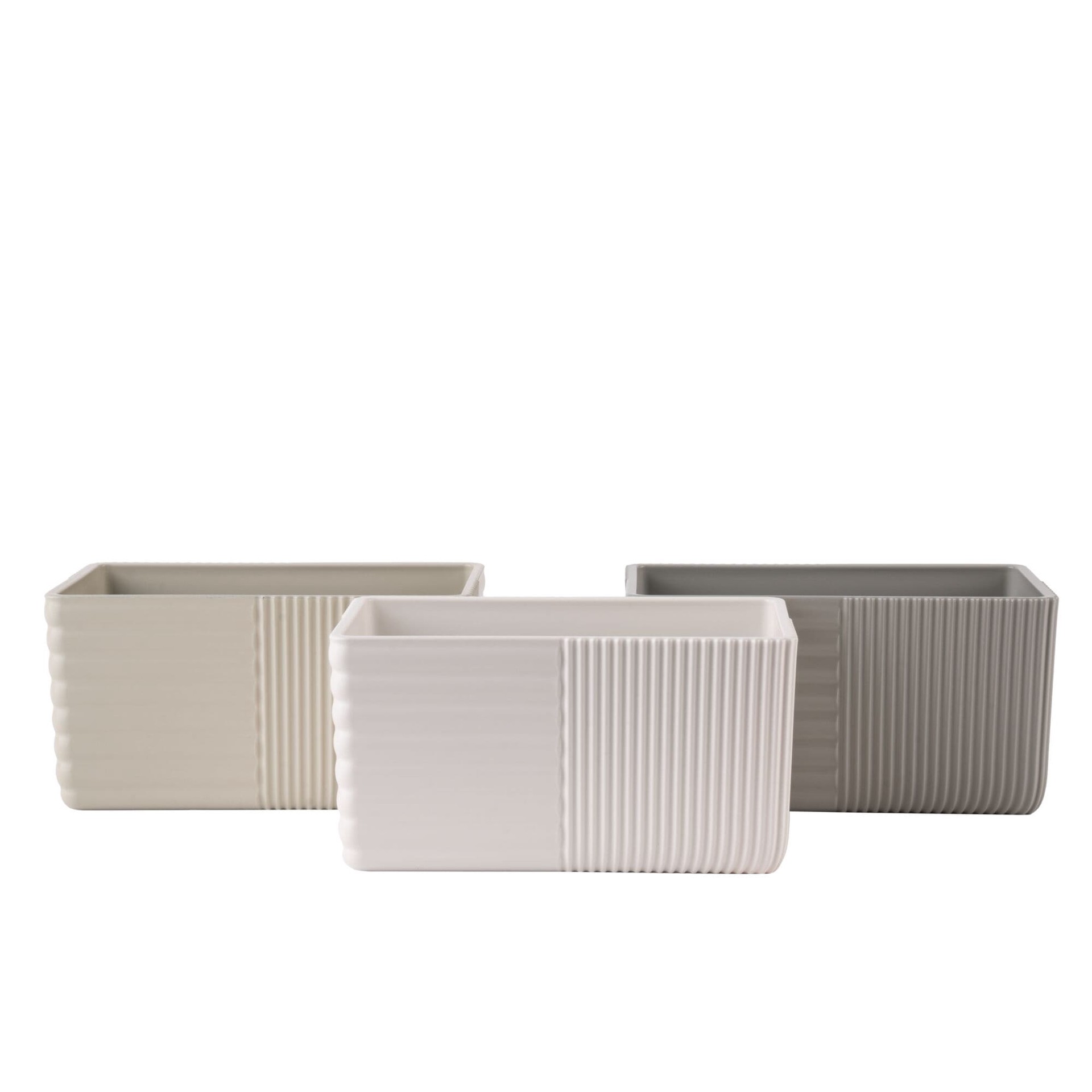 slide 4 of 6, Costa Farms Specialty Lucky Bamboo House plant in 1.5 Pint(s) Planter 1 -Pack, 1 ct