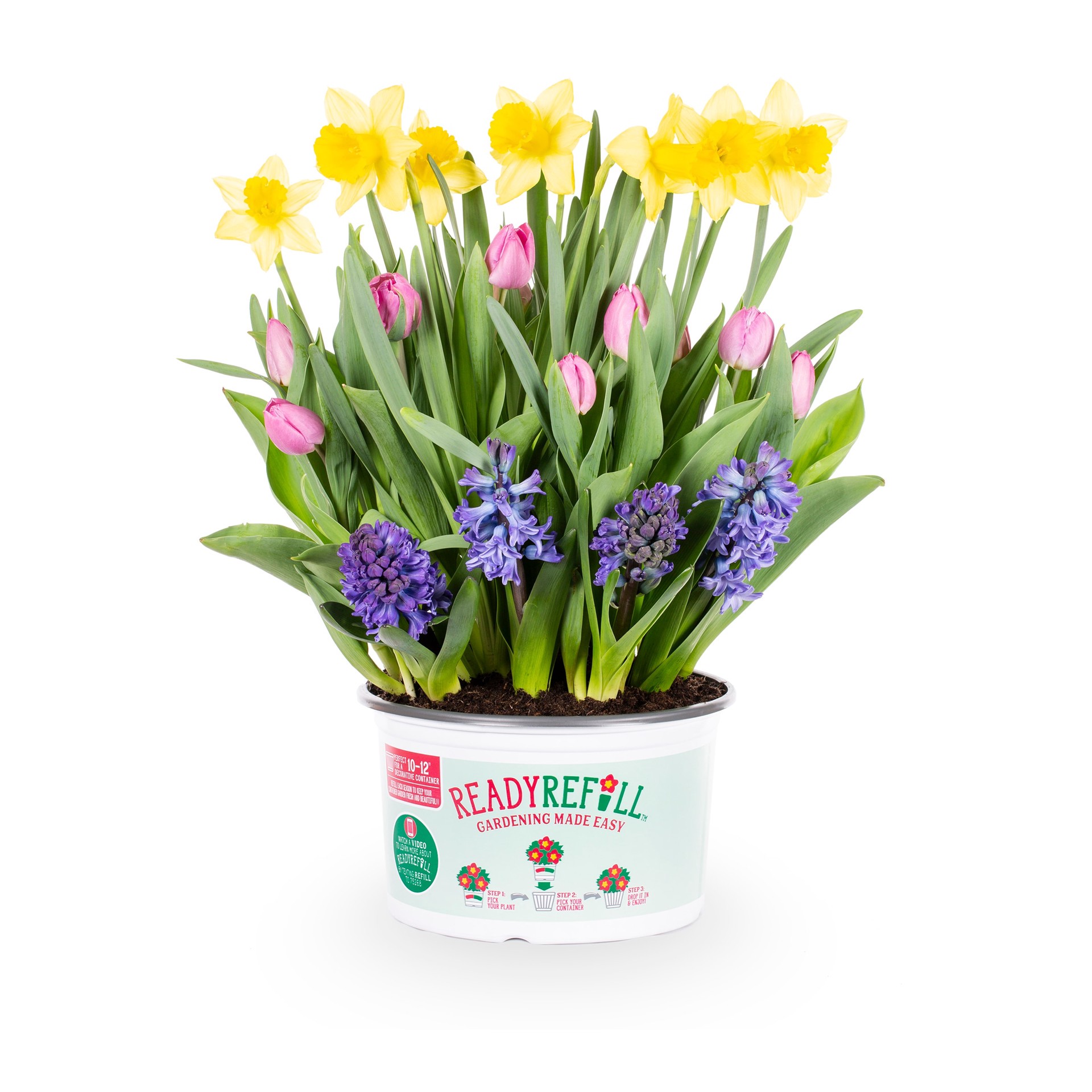 slide 2 of 4, Ready Refill Multicolor Mixed Annuals Combo in 1.5-Gallons Planter, 1 ct