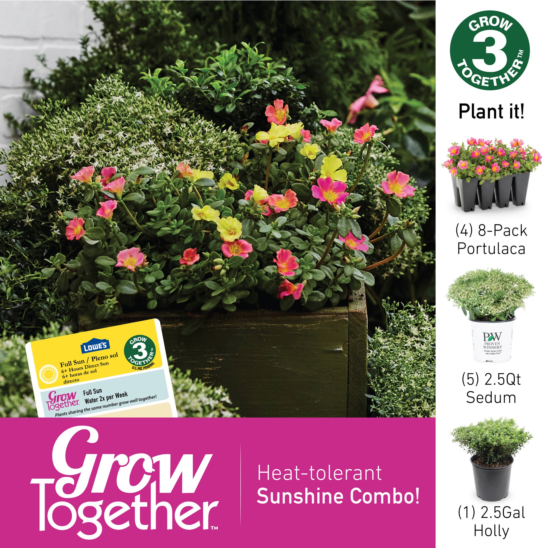 slide 3 of 4, Lowe's Multicolor Purslane in 8 -Pack Tray 8 -Pack, 1 ct