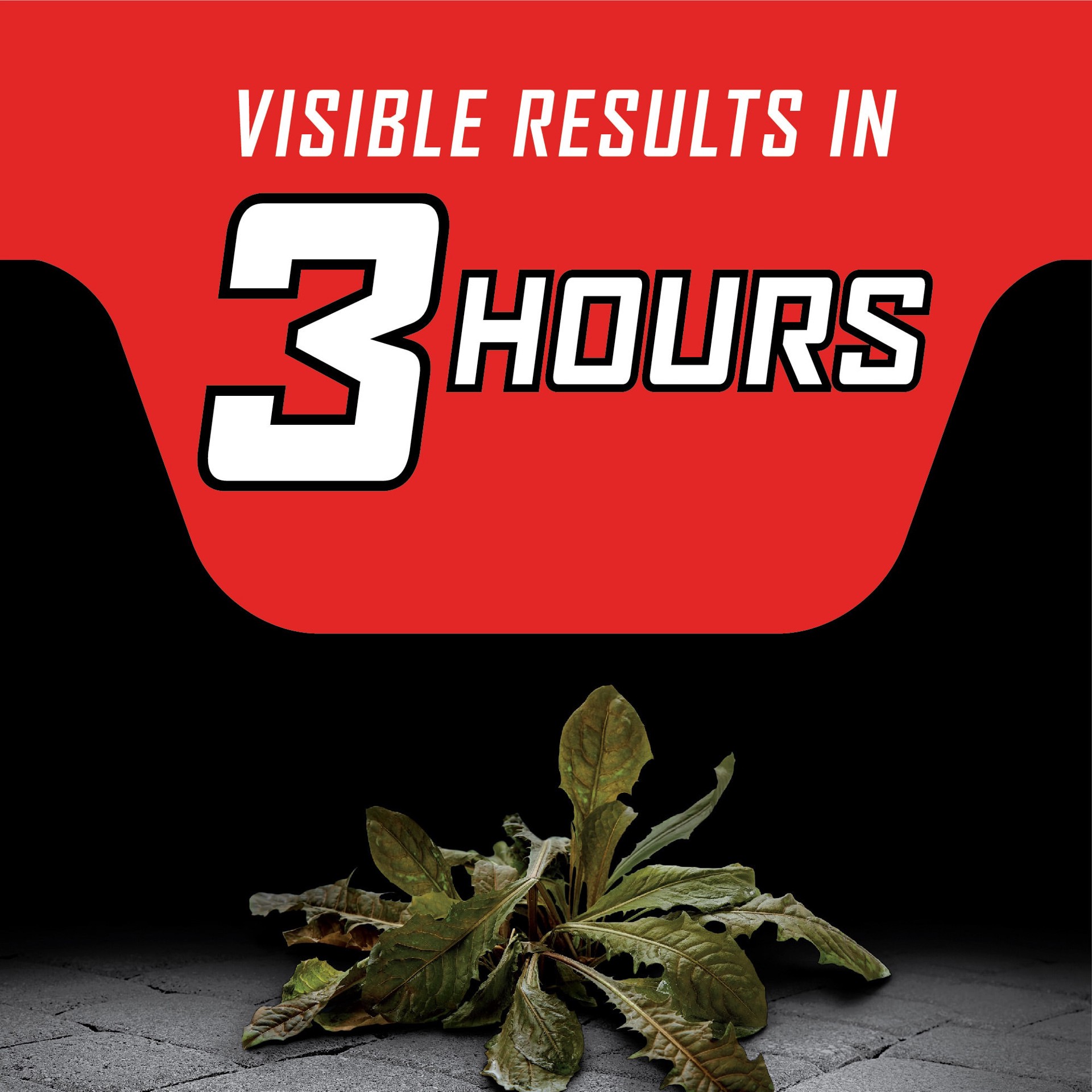 slide 6 of 6, ORTHO GroundClear Year Long 1.0 -Gallon Concentrate Pre-Emergent Weed and Grass Killer, 1 ct