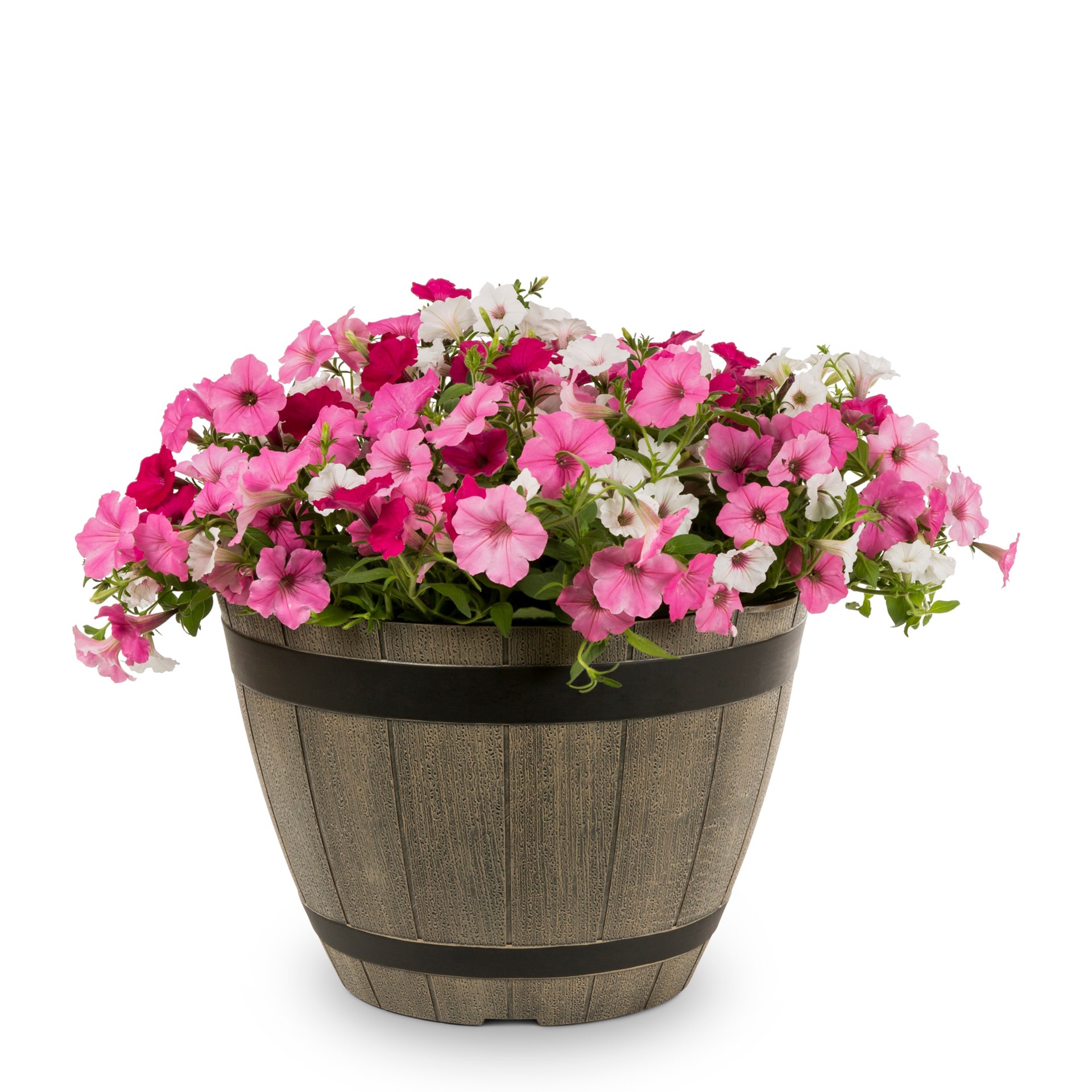 slide 1 of 2, Lowe's Shocking Pink in 2.5, 1 ct