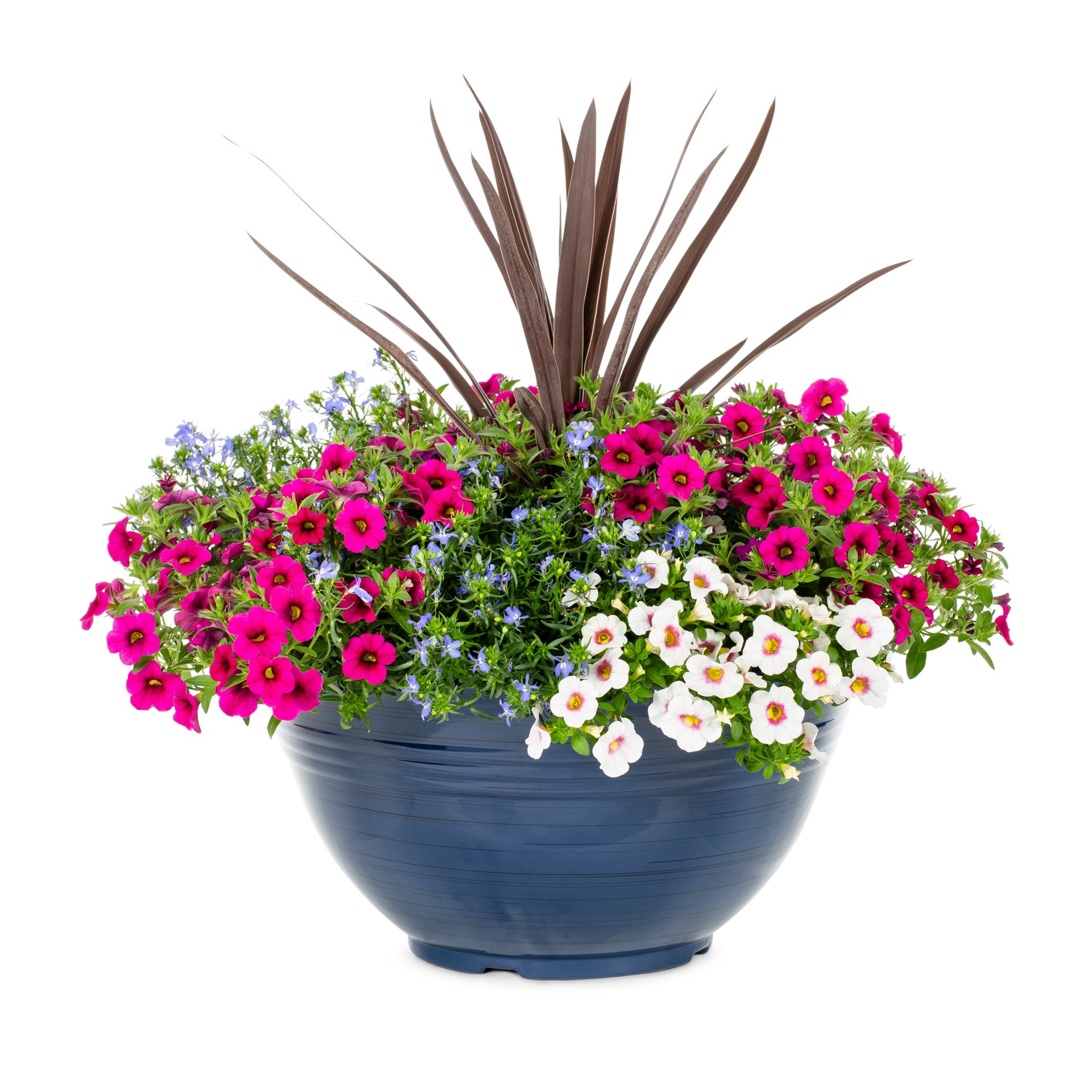 slide 1 of 4, Lowe's Multicolor Waterloo in 2.5 Gallon(s) Planter 5 -Pack, 1 ct