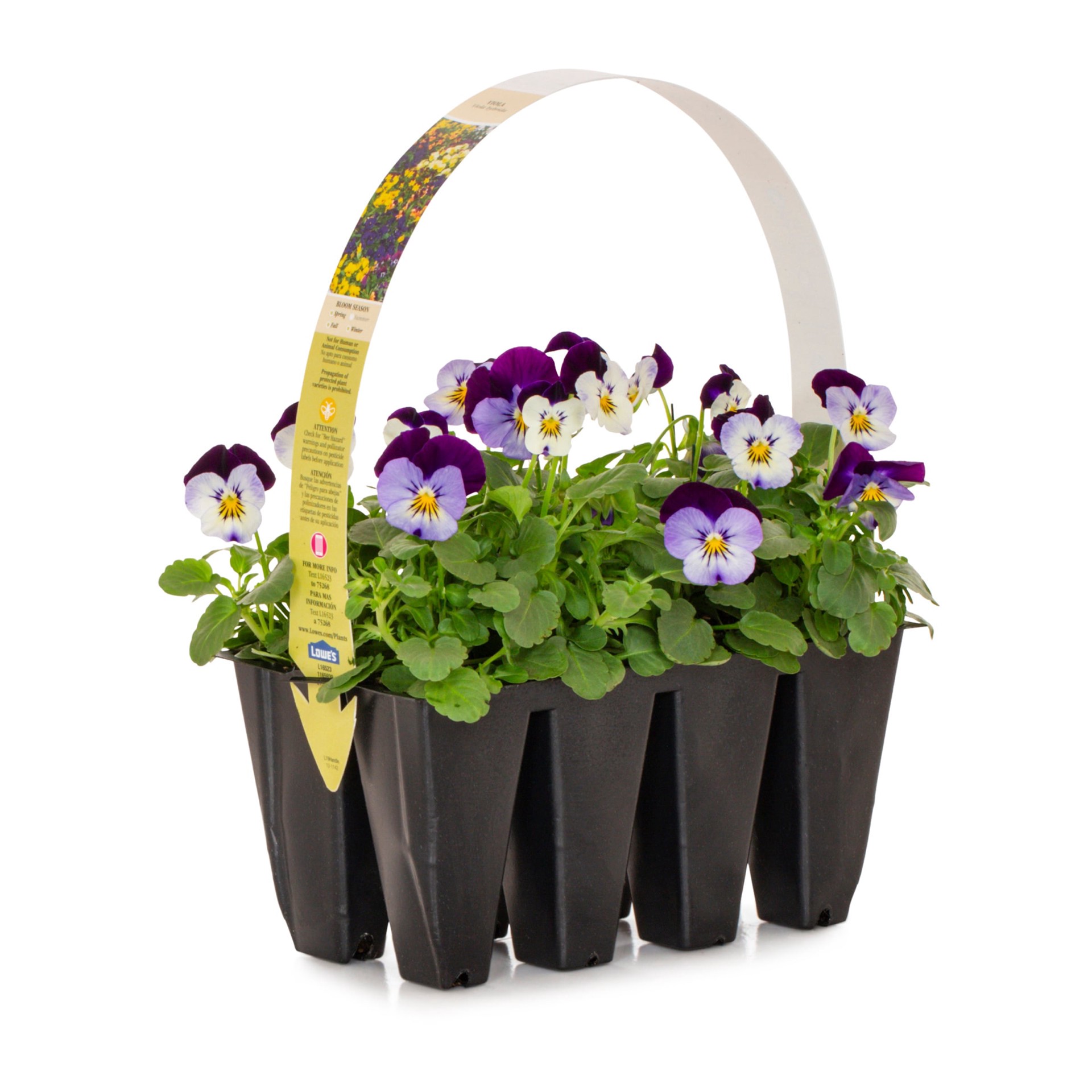 slide 3 of 6, Lowe's Multicolor Viola in 8-Pack Tray, 1 ct
