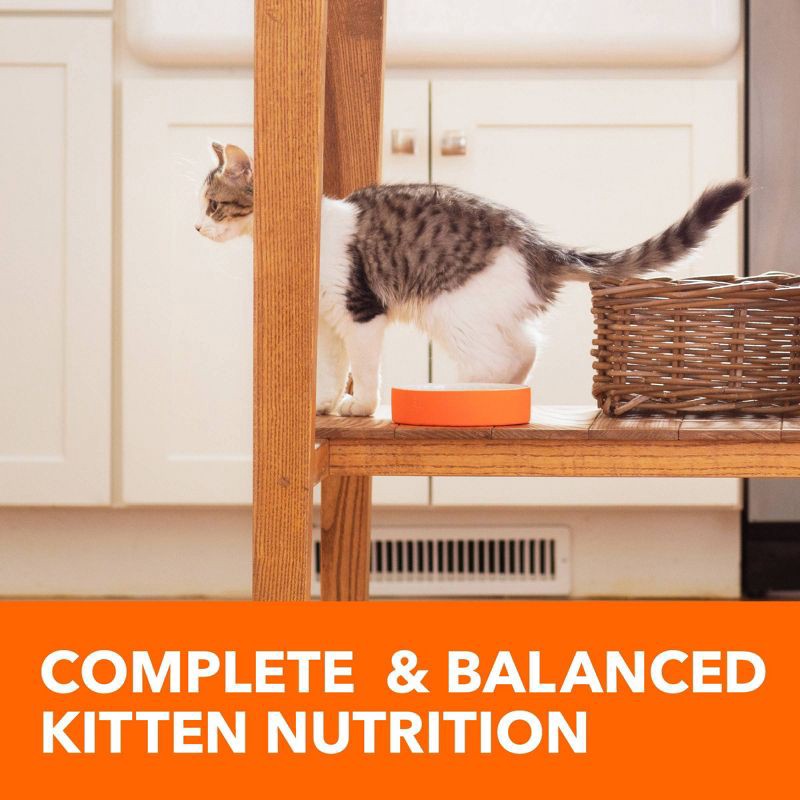 slide 6 of 10, IAMS Proactive Health with Chicken Kitten Premium Dry Cat Food - 7lbs, 7 lb