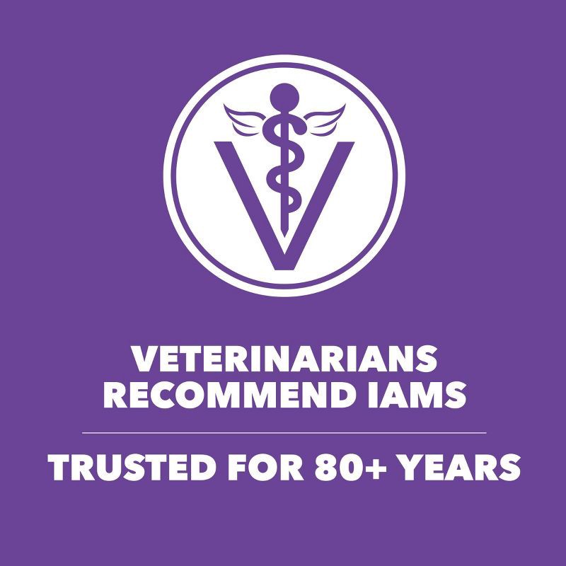 slide 6 of 10, IAMS Proactive Health with Chicken Kitten Premium Dry Cat Food - 7lbs, 7 lb