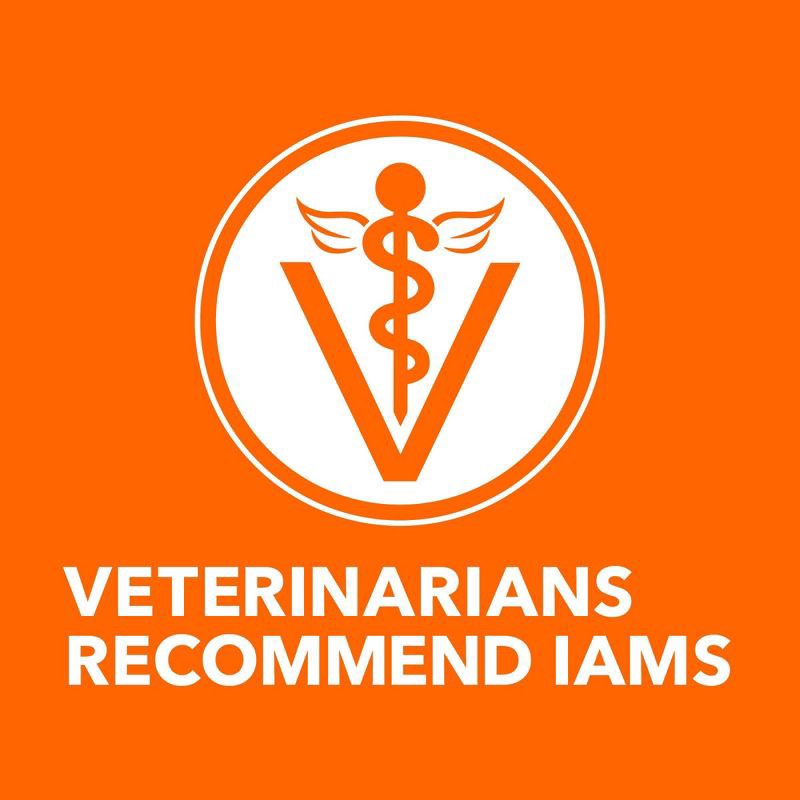 slide 9 of 10, IAMS Proactive Health with Chicken Kitten Premium Dry Cat Food - 7lbs, 7 lb