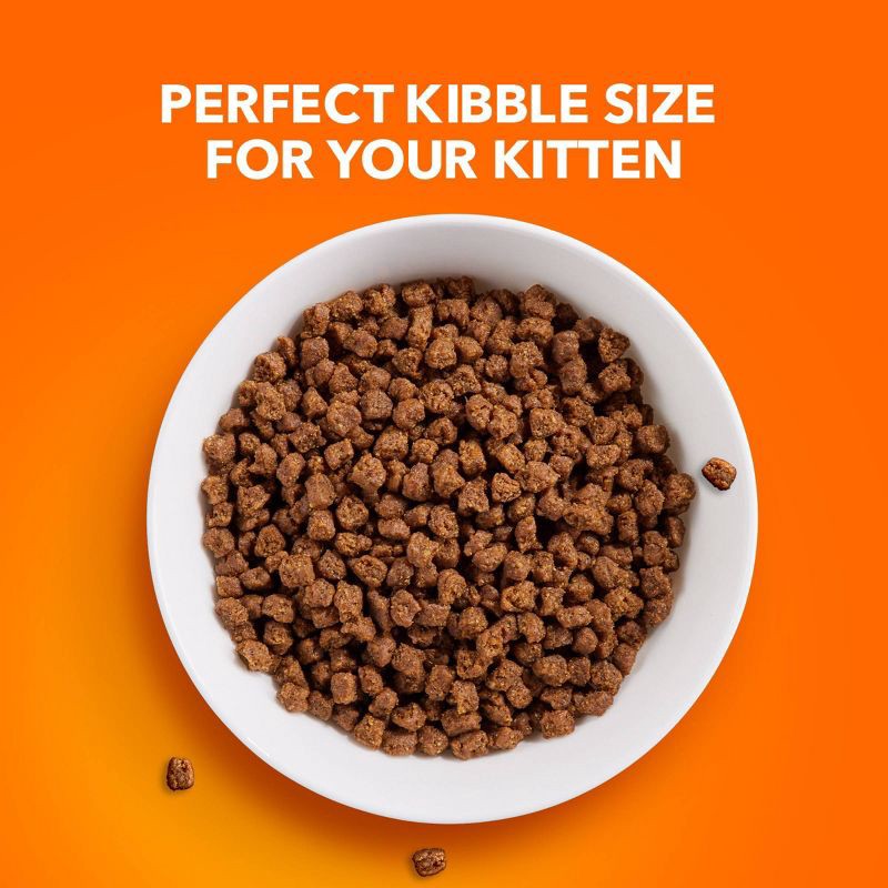 slide 4 of 10, IAMS Proactive Health with Chicken Kitten Premium Dry Cat Food - 3.5lbs, 3.5 lb